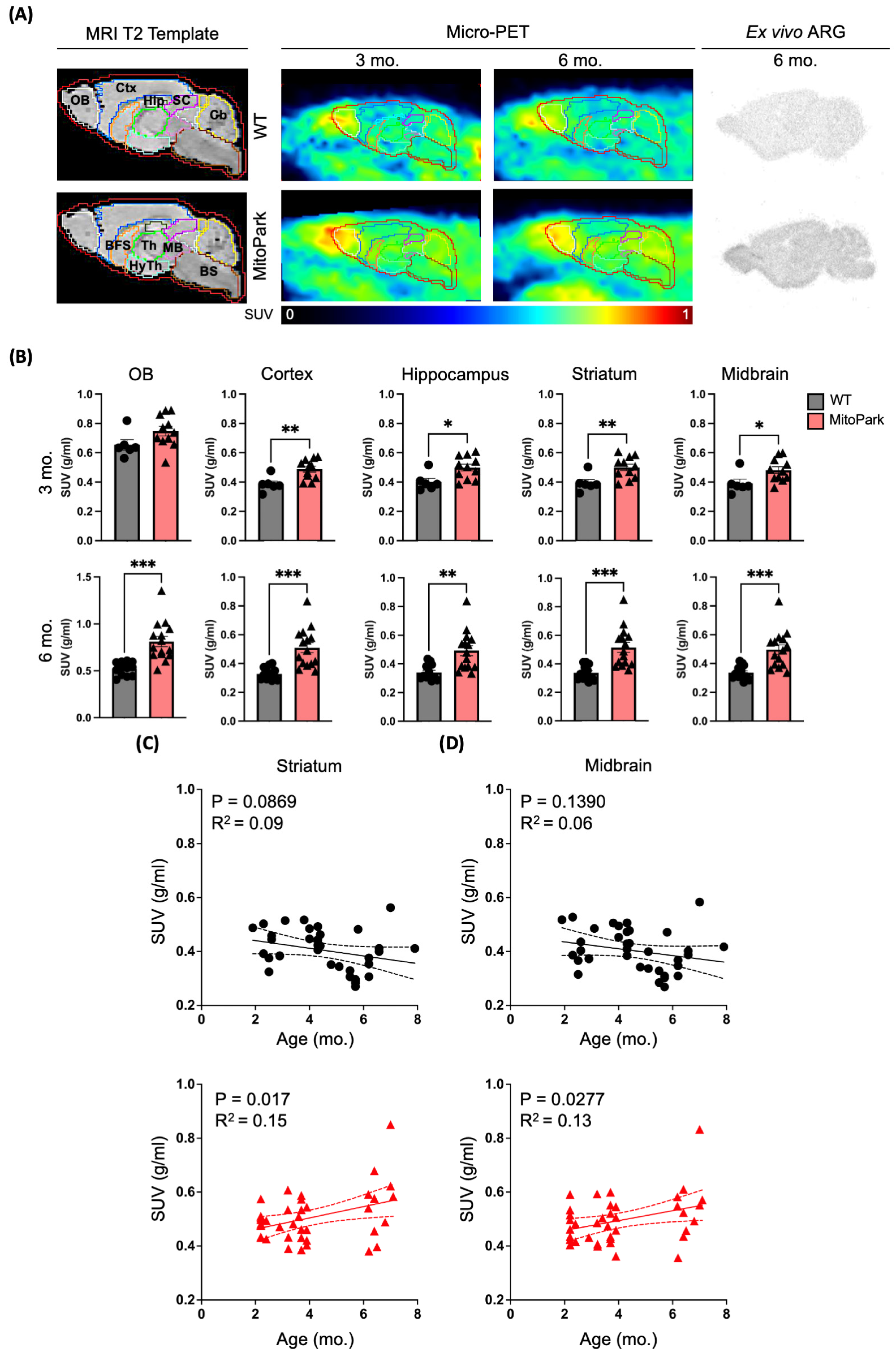 Antioxidants 13 01226 g001