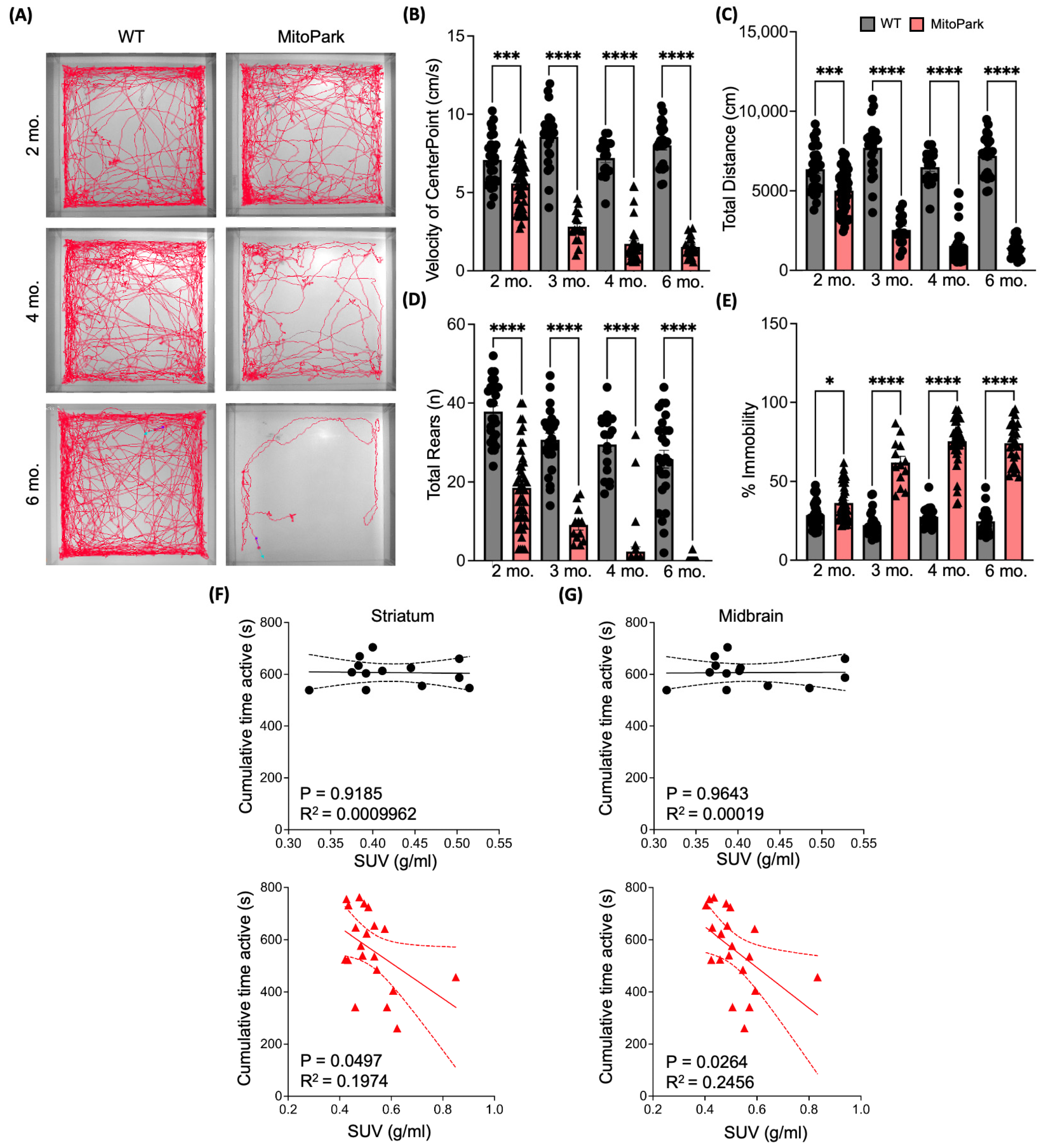 Antioxidants 13 01226 g002
