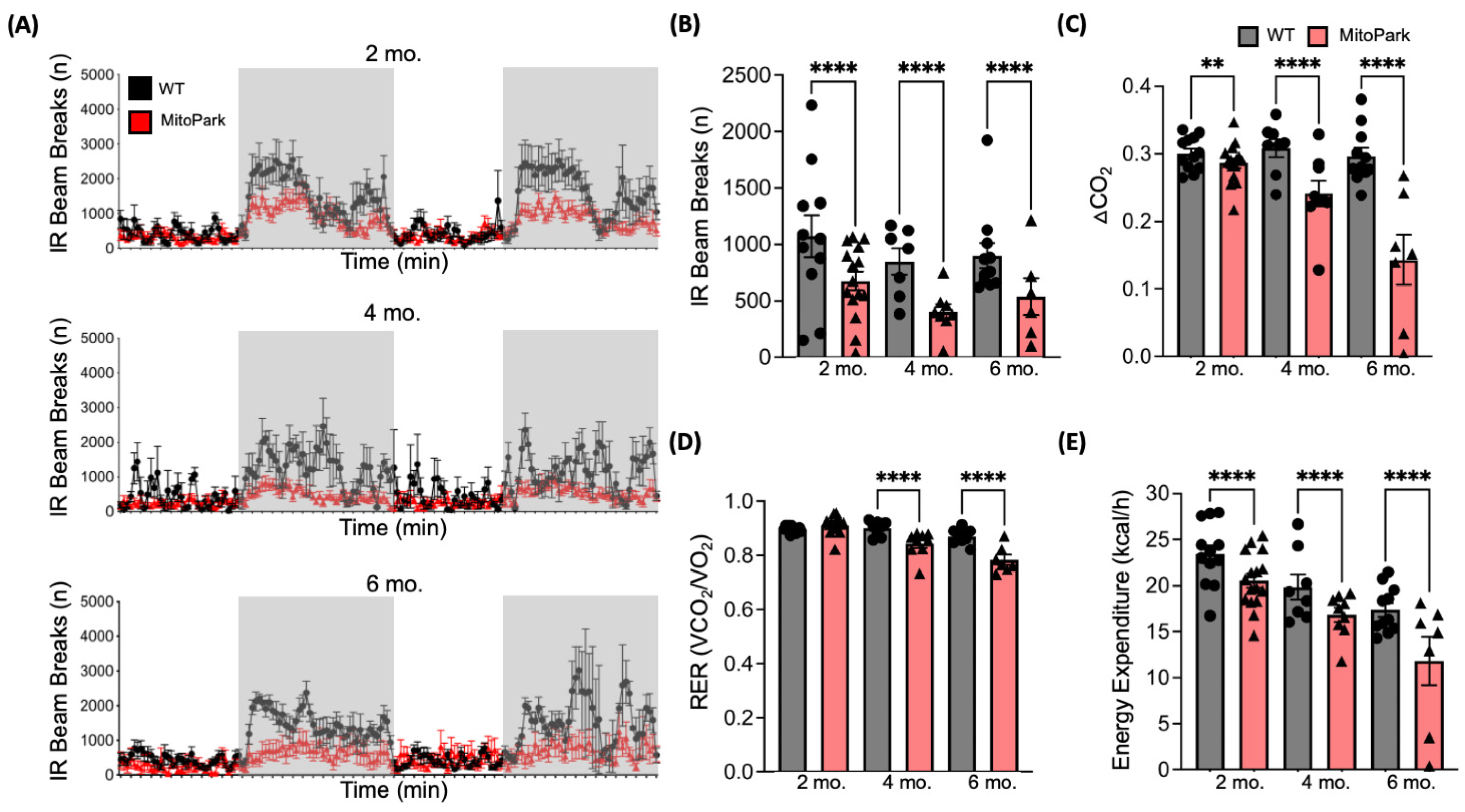Antioxidants 13 01226 g003