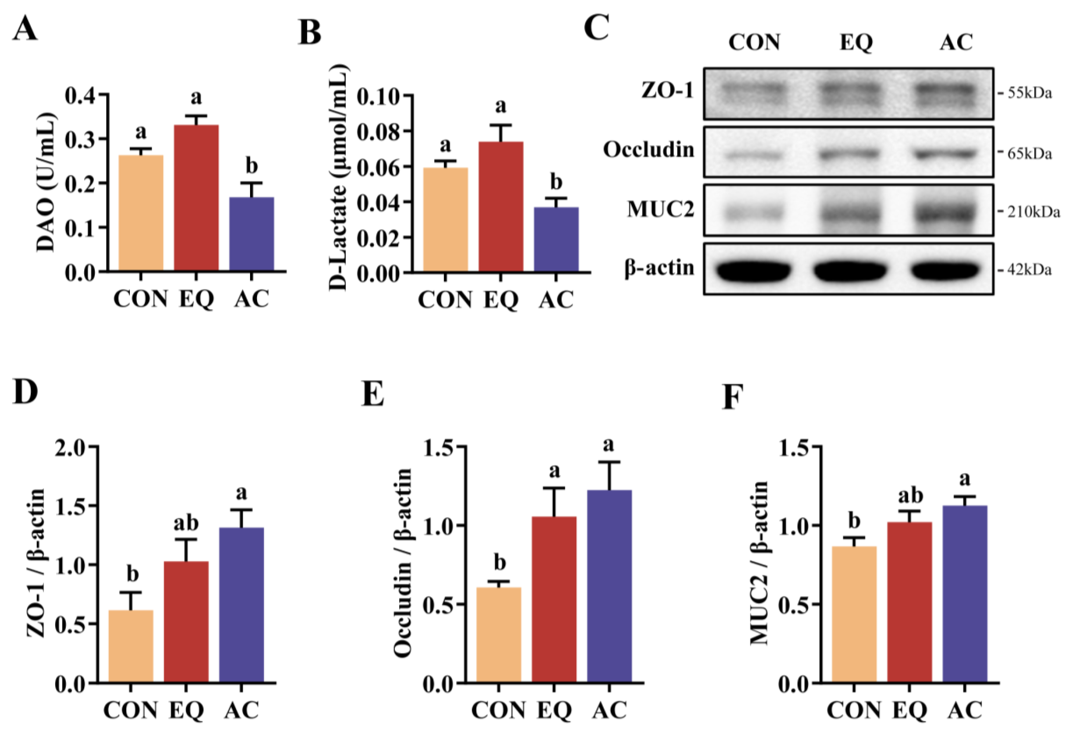Antioxidants 13 01229 g004 Antioxidants 13 01229 g004