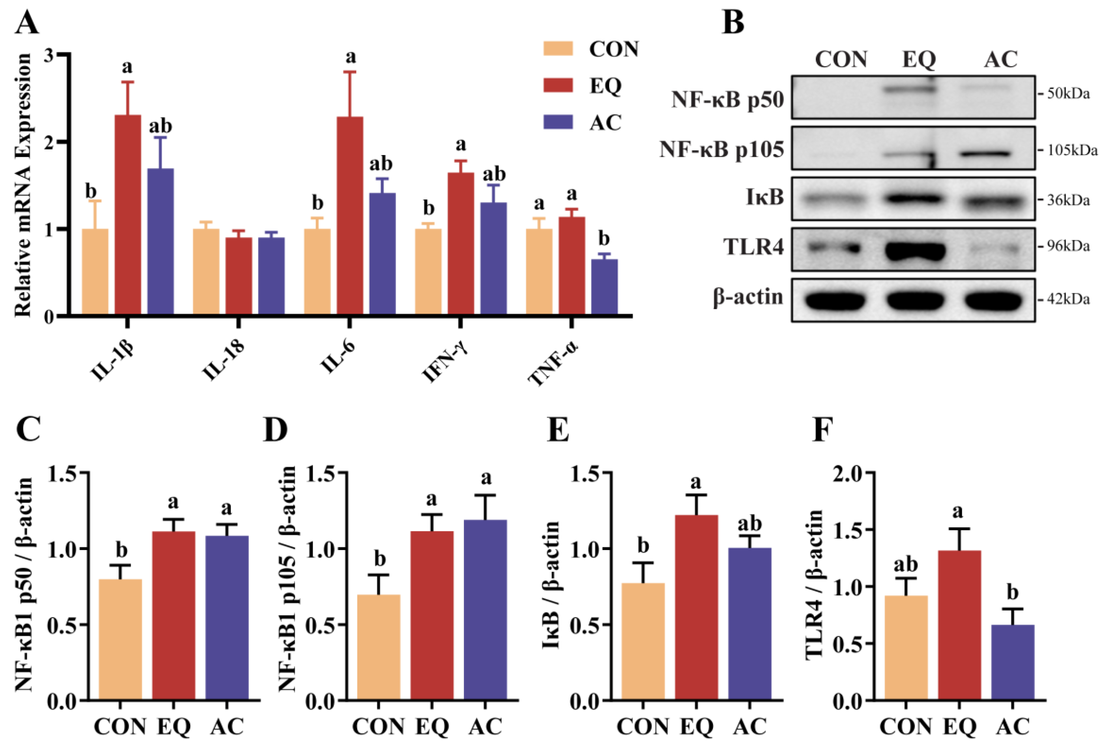 Antioxidants 13 01229 g006 Antioxidants 13 01229 g006