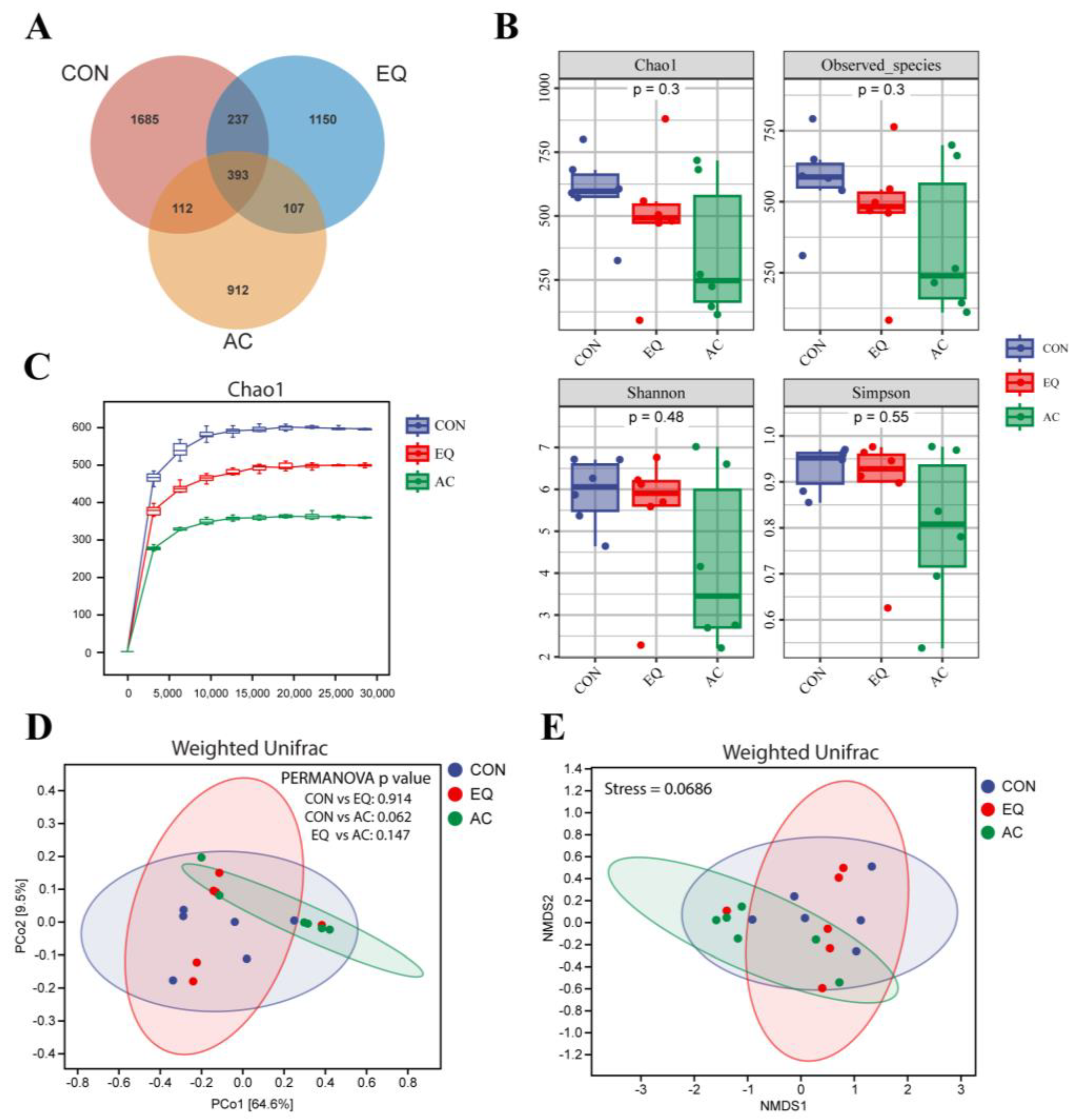 Antioxidants 13 01229 g007 Antioxidants 13 01229 g007