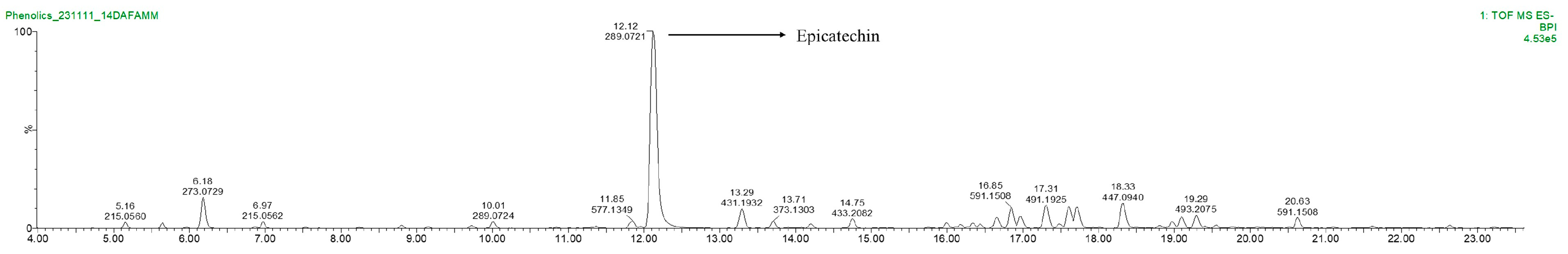Antioxidants 13 01233 g002