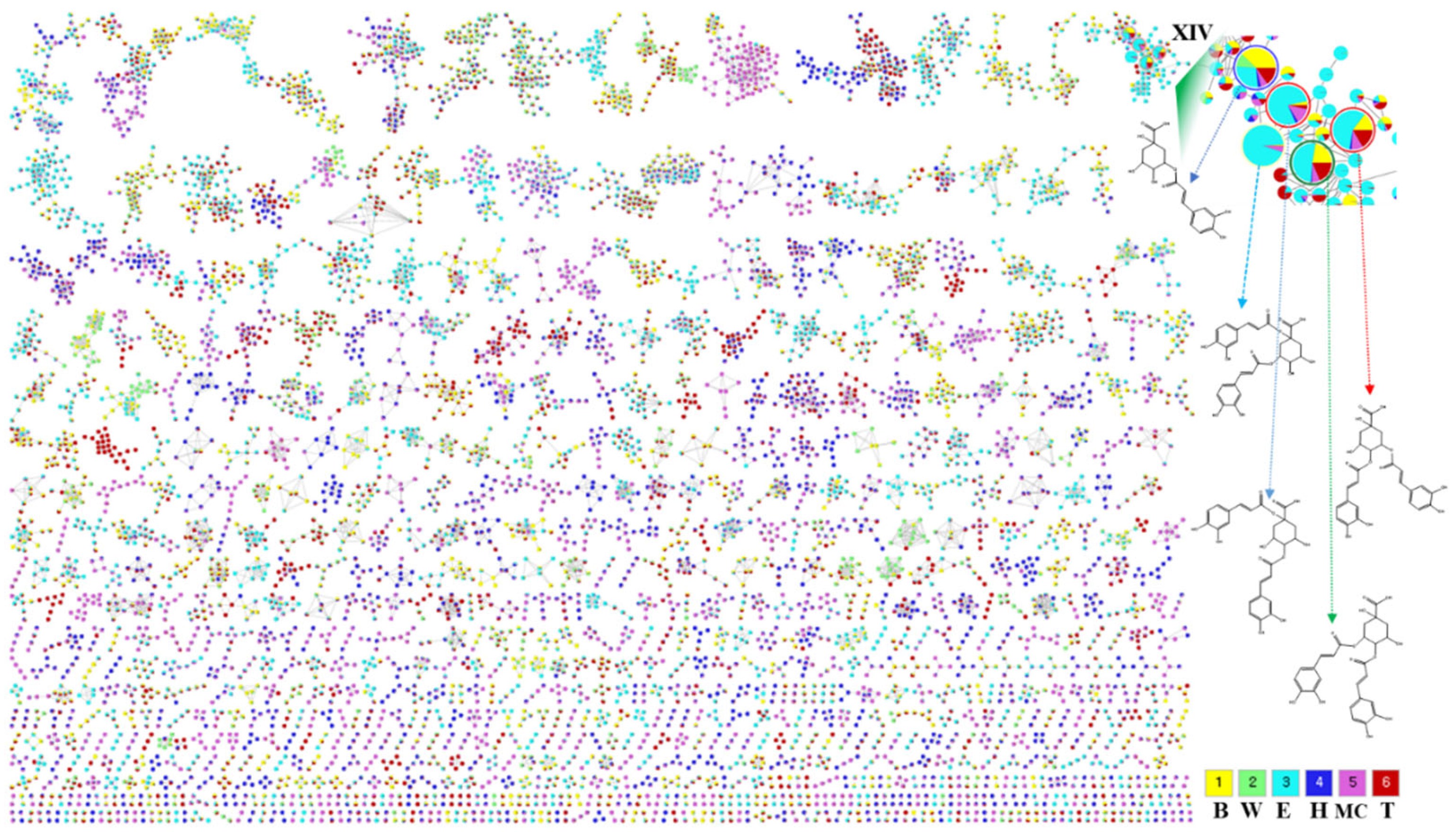 Antioxidants 13 01235 g001