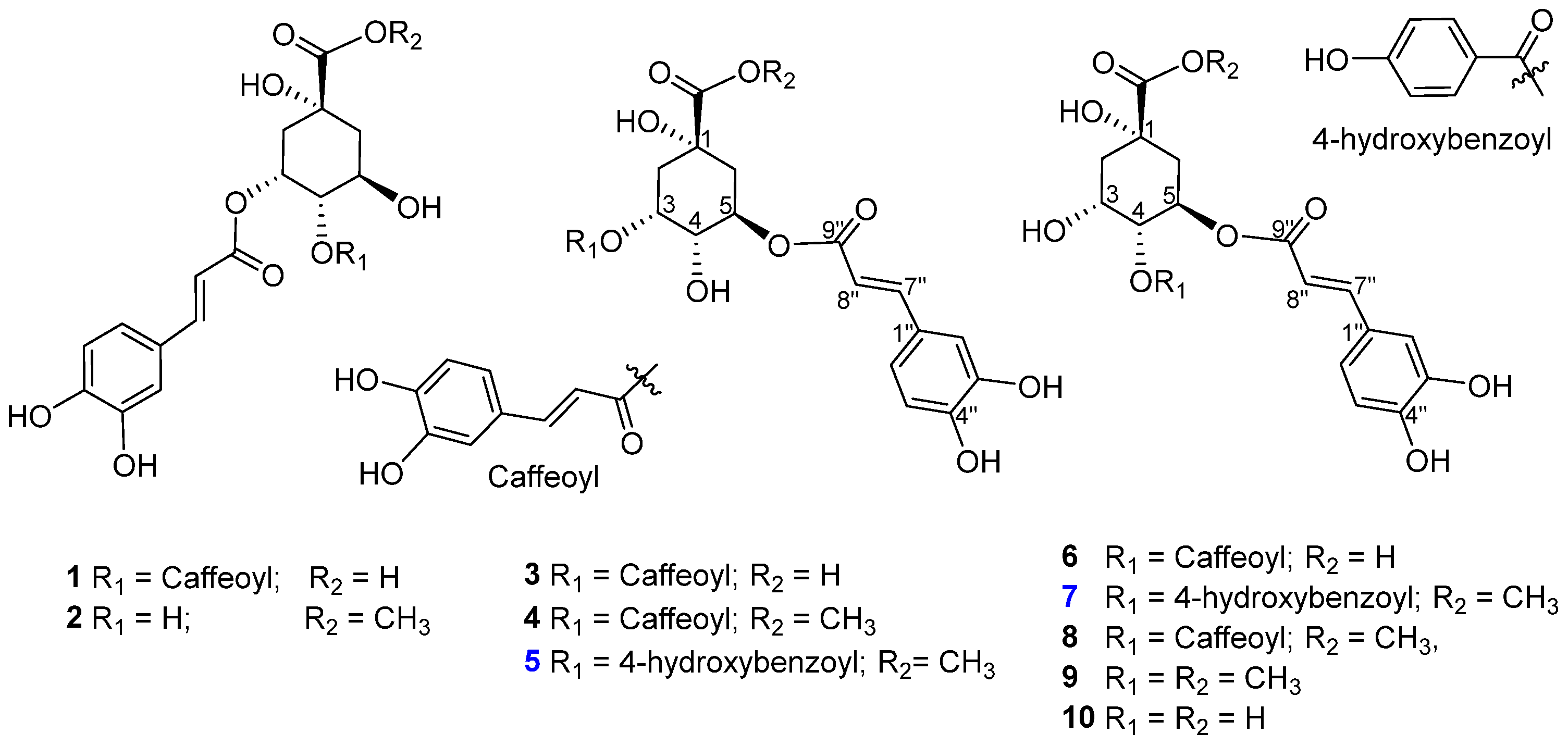 Antioxidants 13 01235 g002