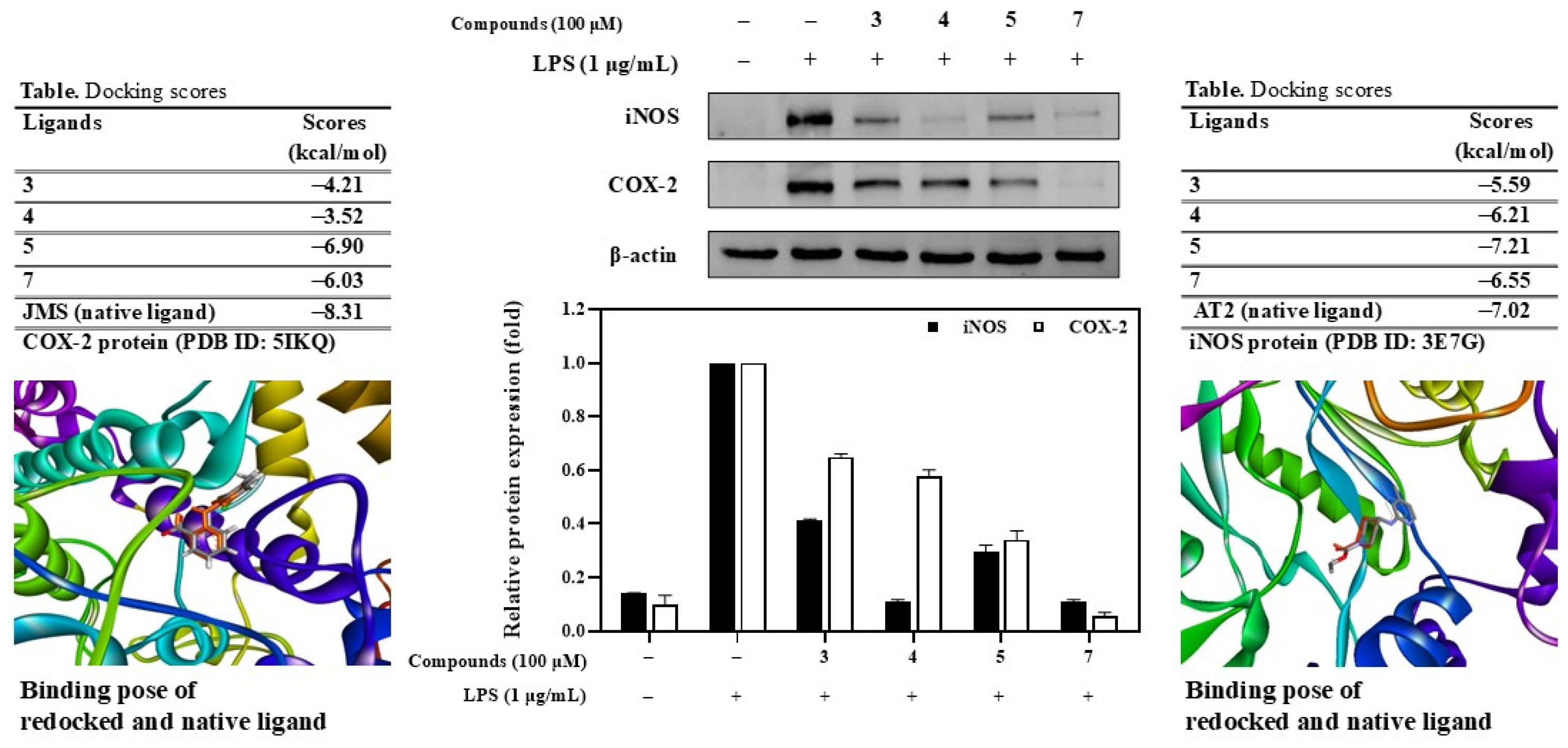 Antioxidants 13 01235 g007