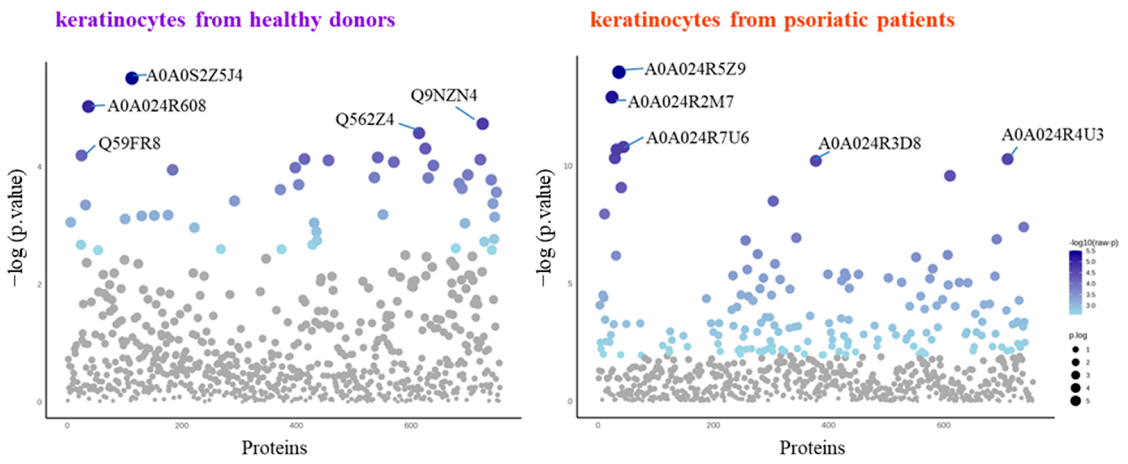Antioxidants 13 01236 g003