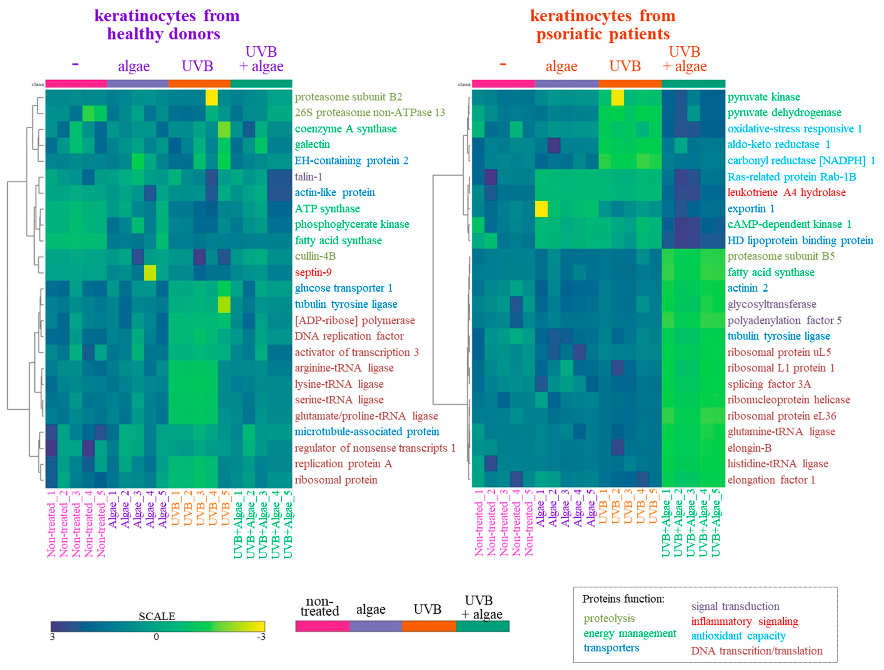 Antioxidants 13 01236 g004