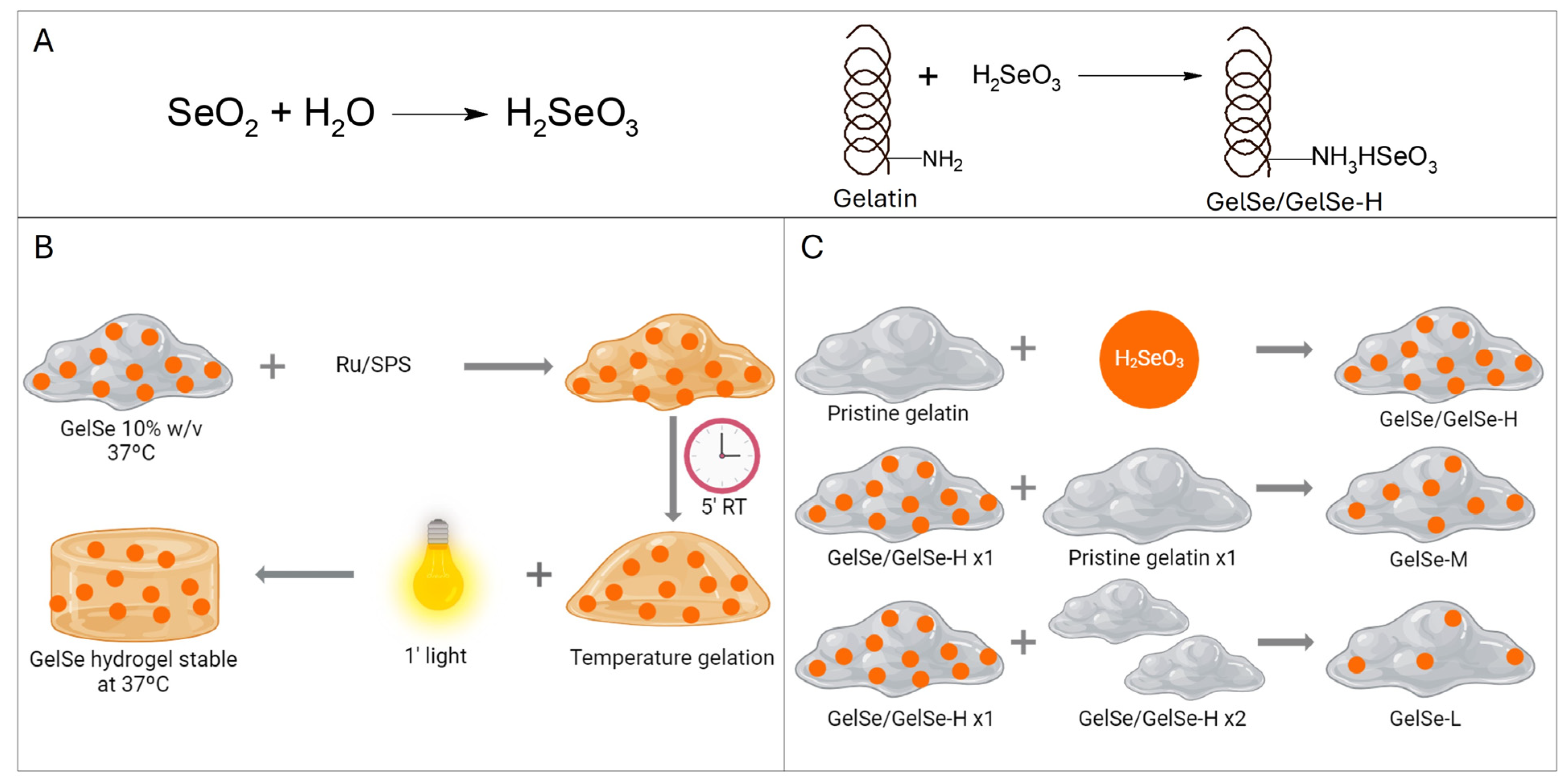 Antioxidants 13 01238 g002