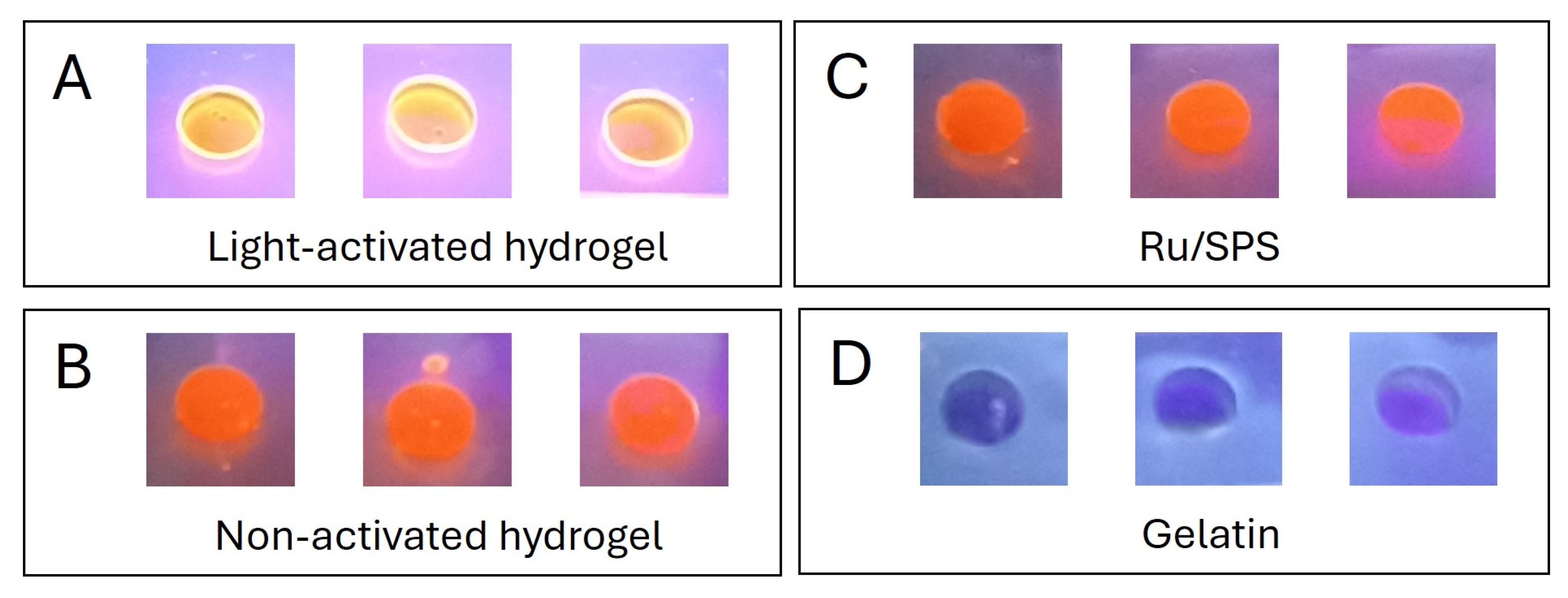 Antioxidants 13 01238 g004