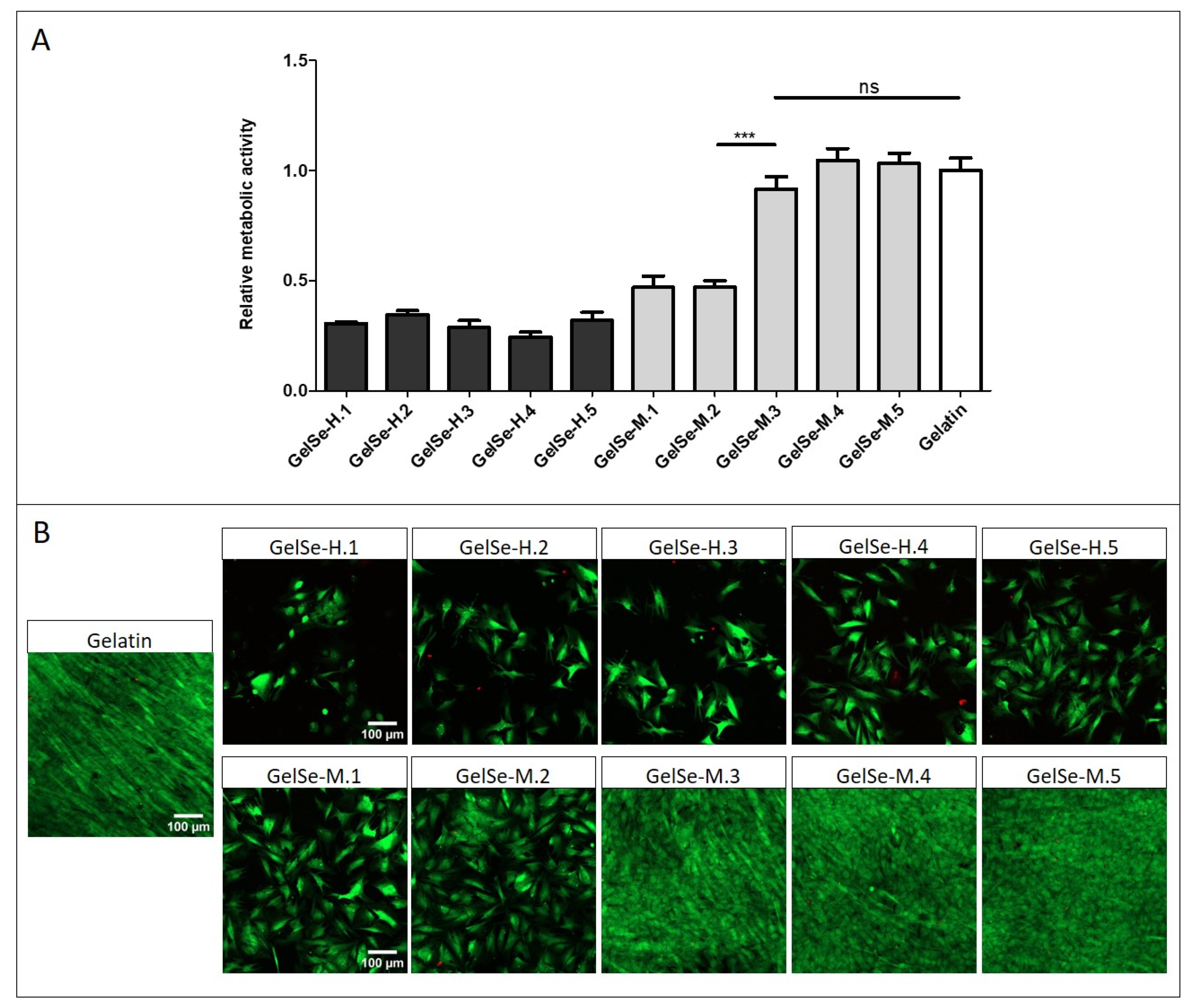 Antioxidants 13 01238 g011
