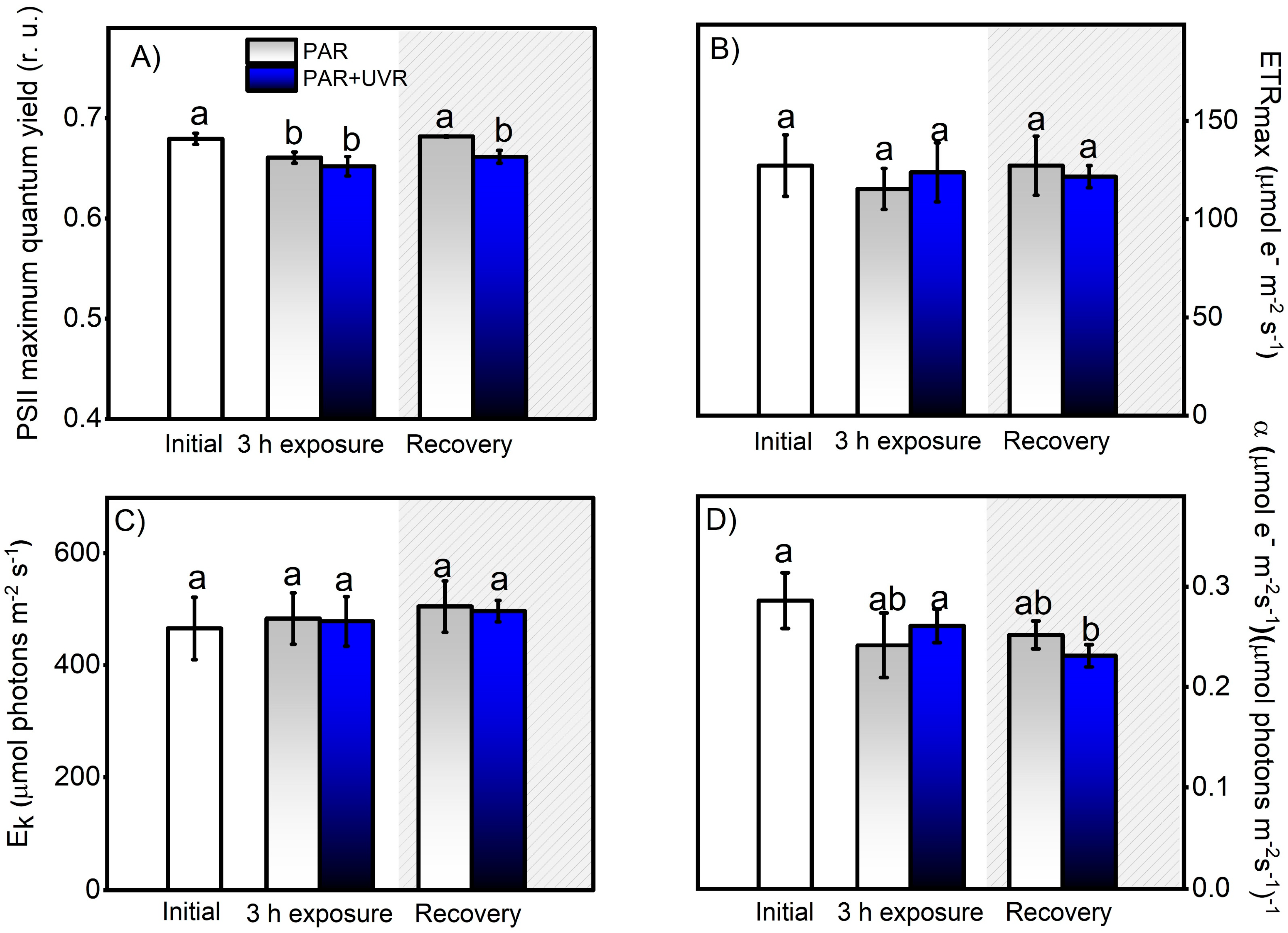 Antioxidants 13 01239 g004