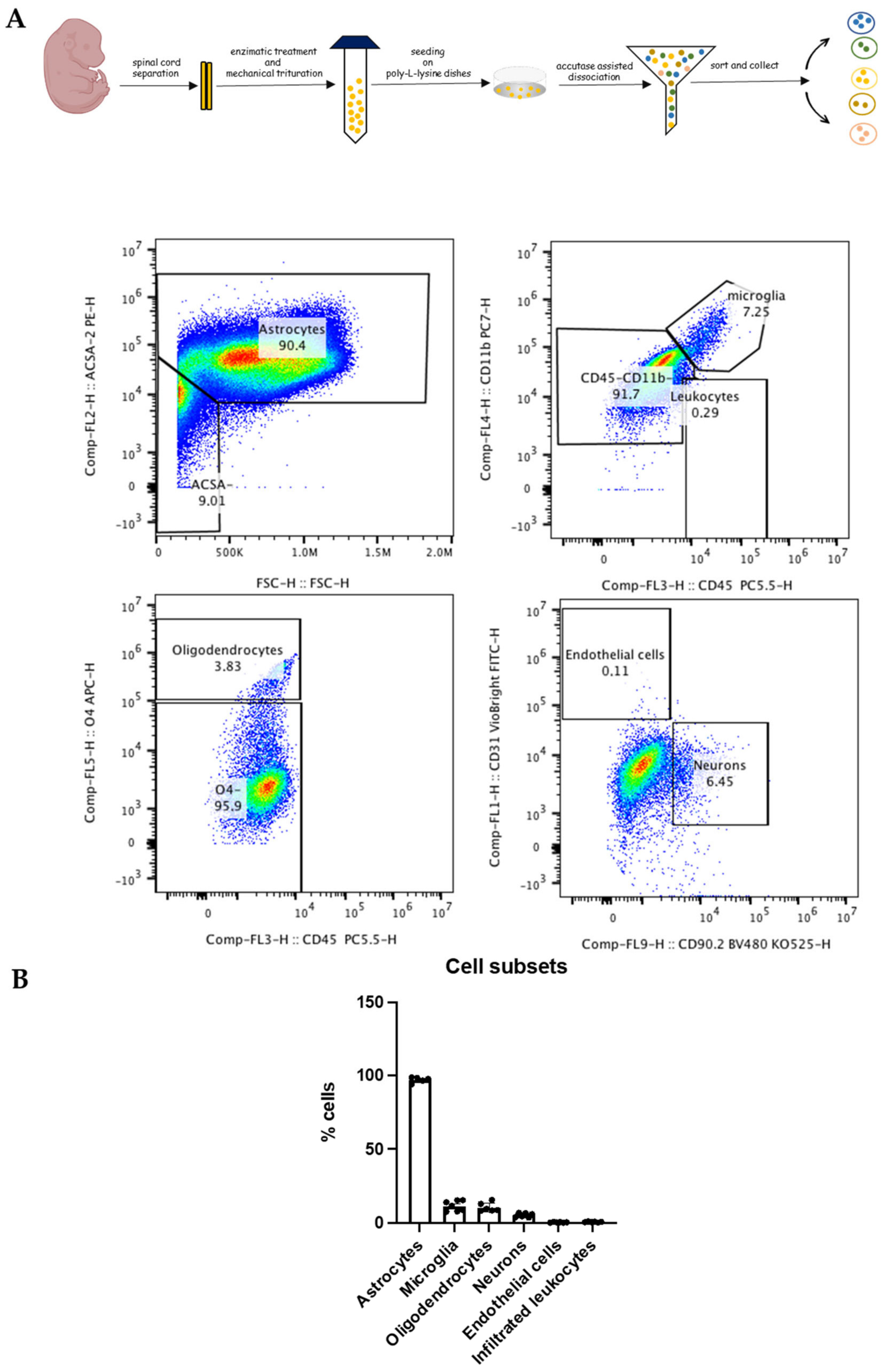 Antioxidants 13 01241 g001