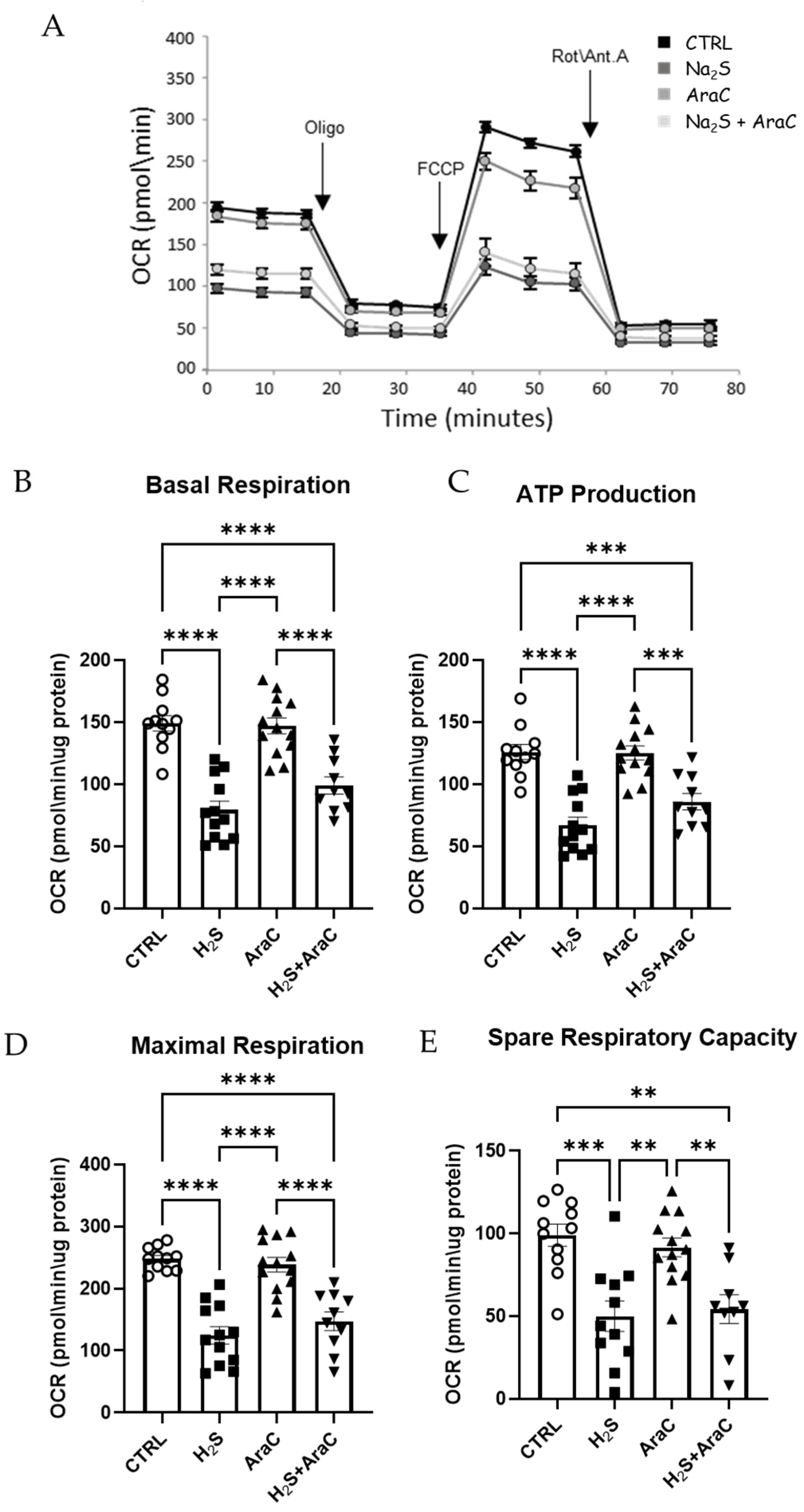 Antioxidants 13 01241 g004