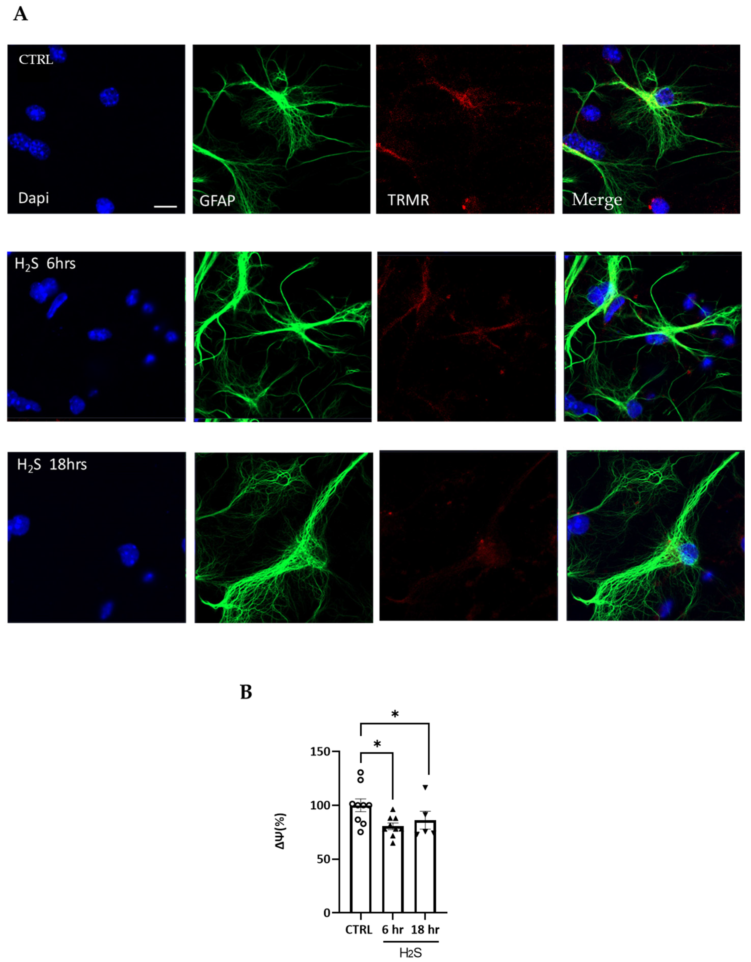 Antioxidants 13 01241 g005