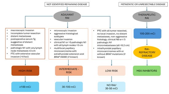 Antioxidants 13 01242 g002