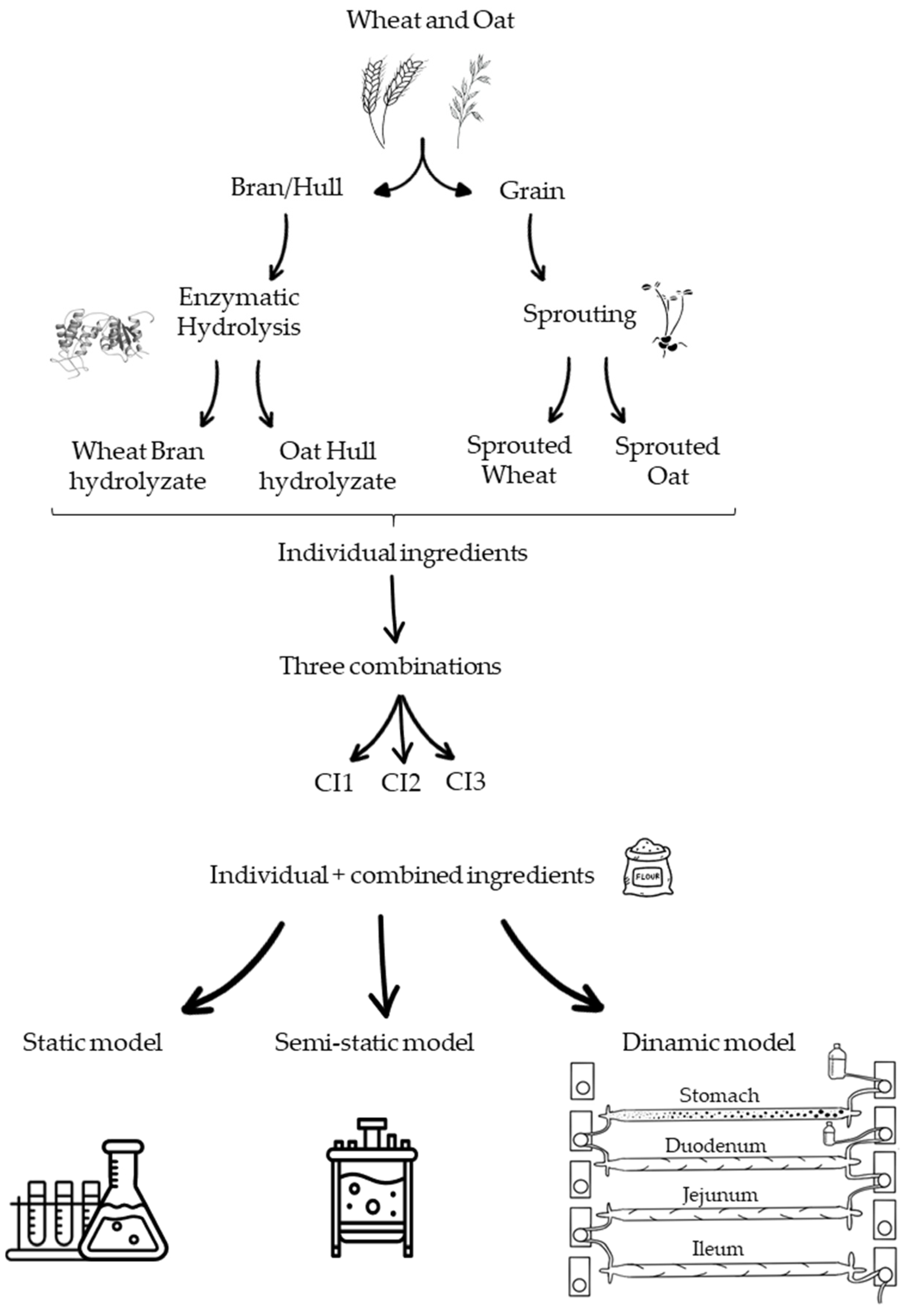 Antioxidants 13 01244 g001