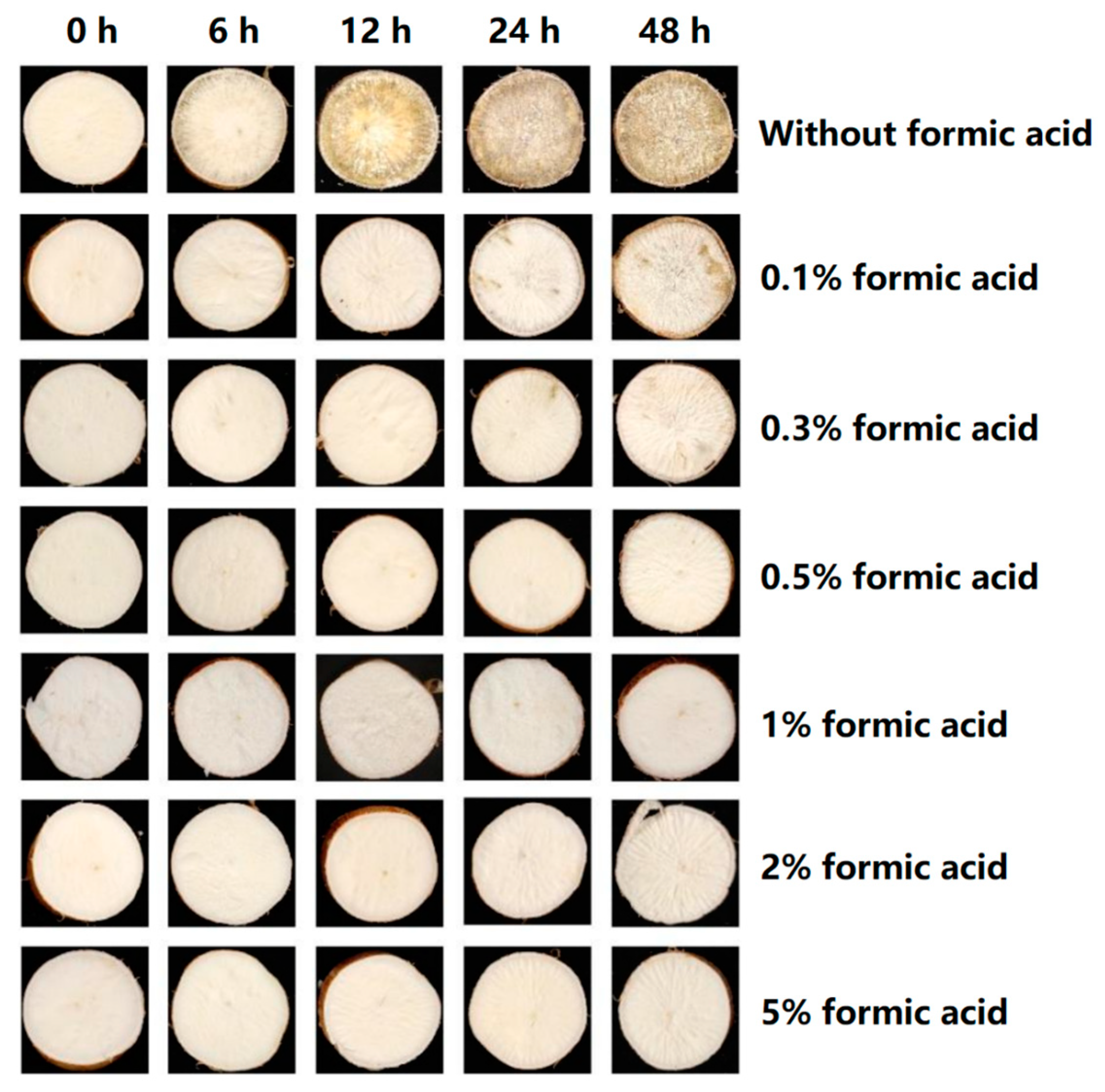 Antioxidants 13 01245 g001