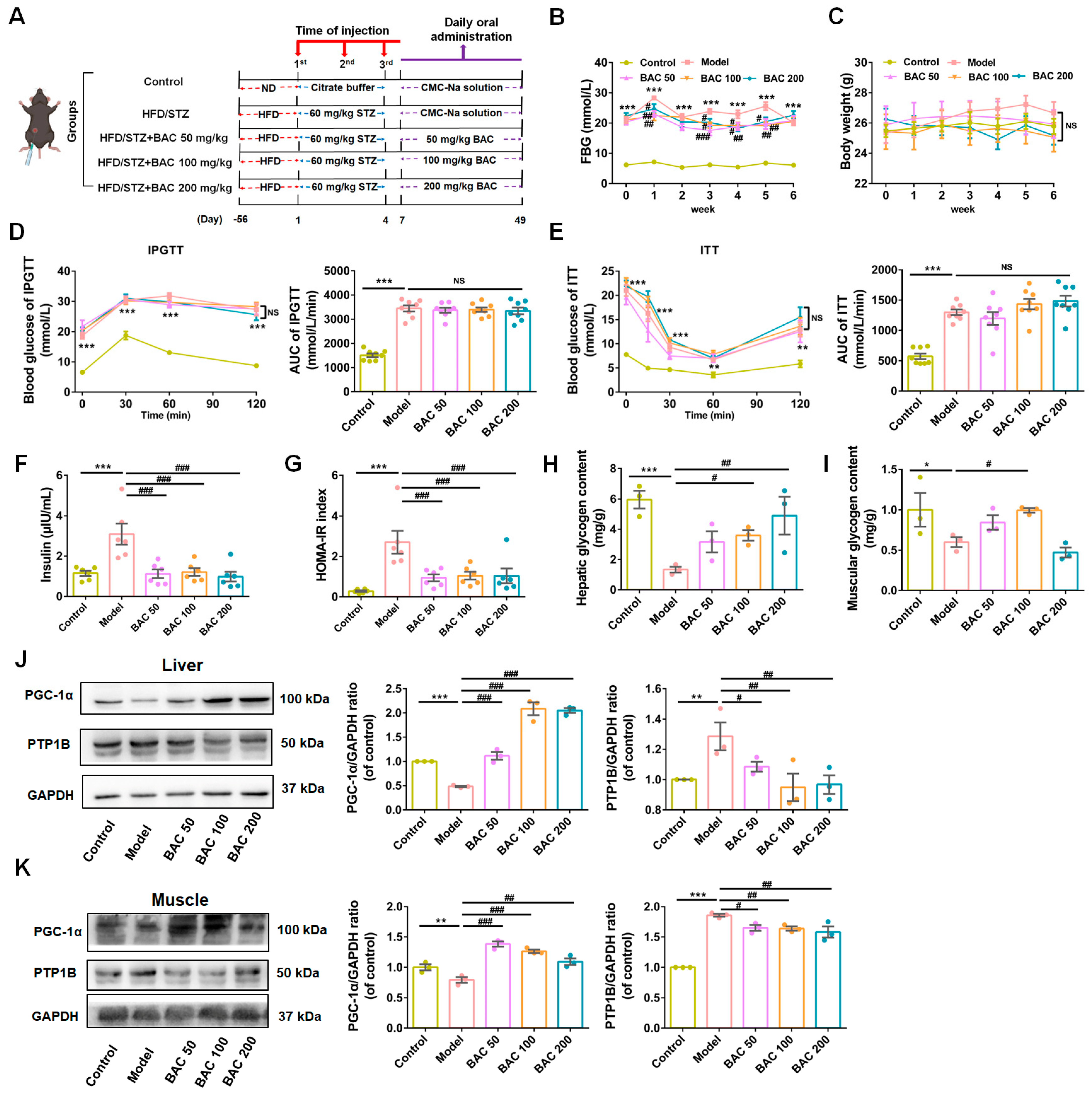Antioxidants 13 01246 g001