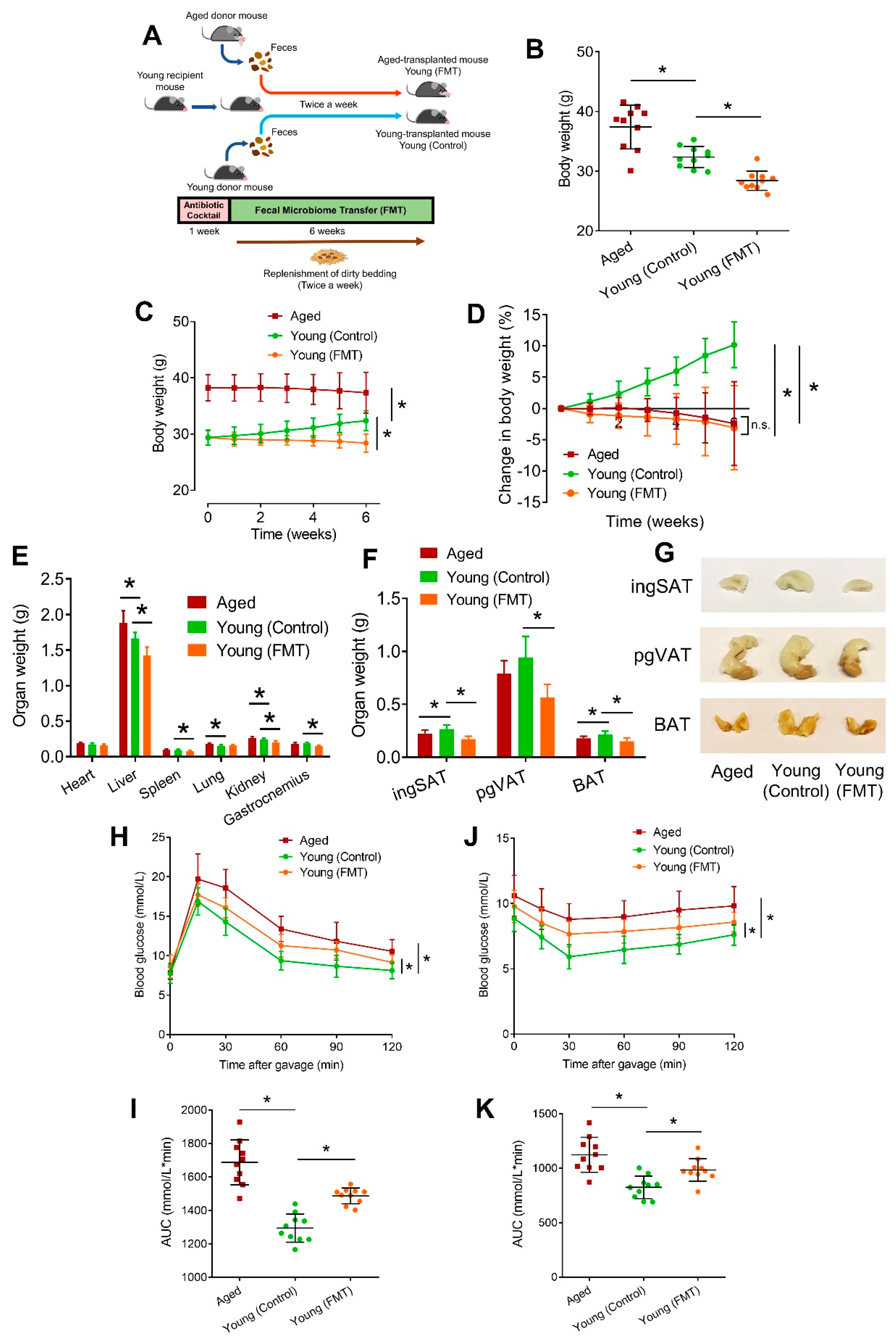 Antioxidants 13 01250 g001