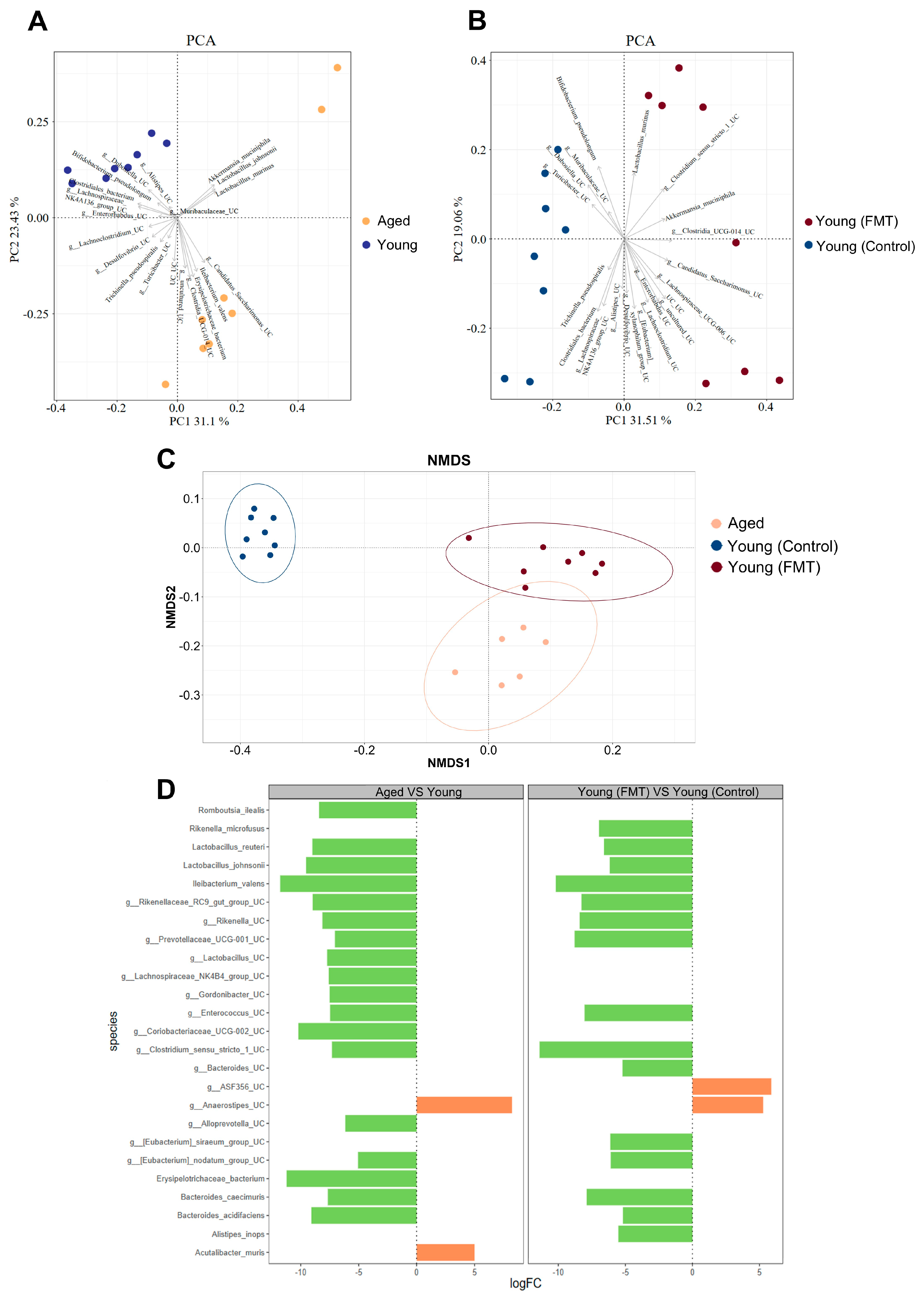 Antioxidants 13 01250 g005