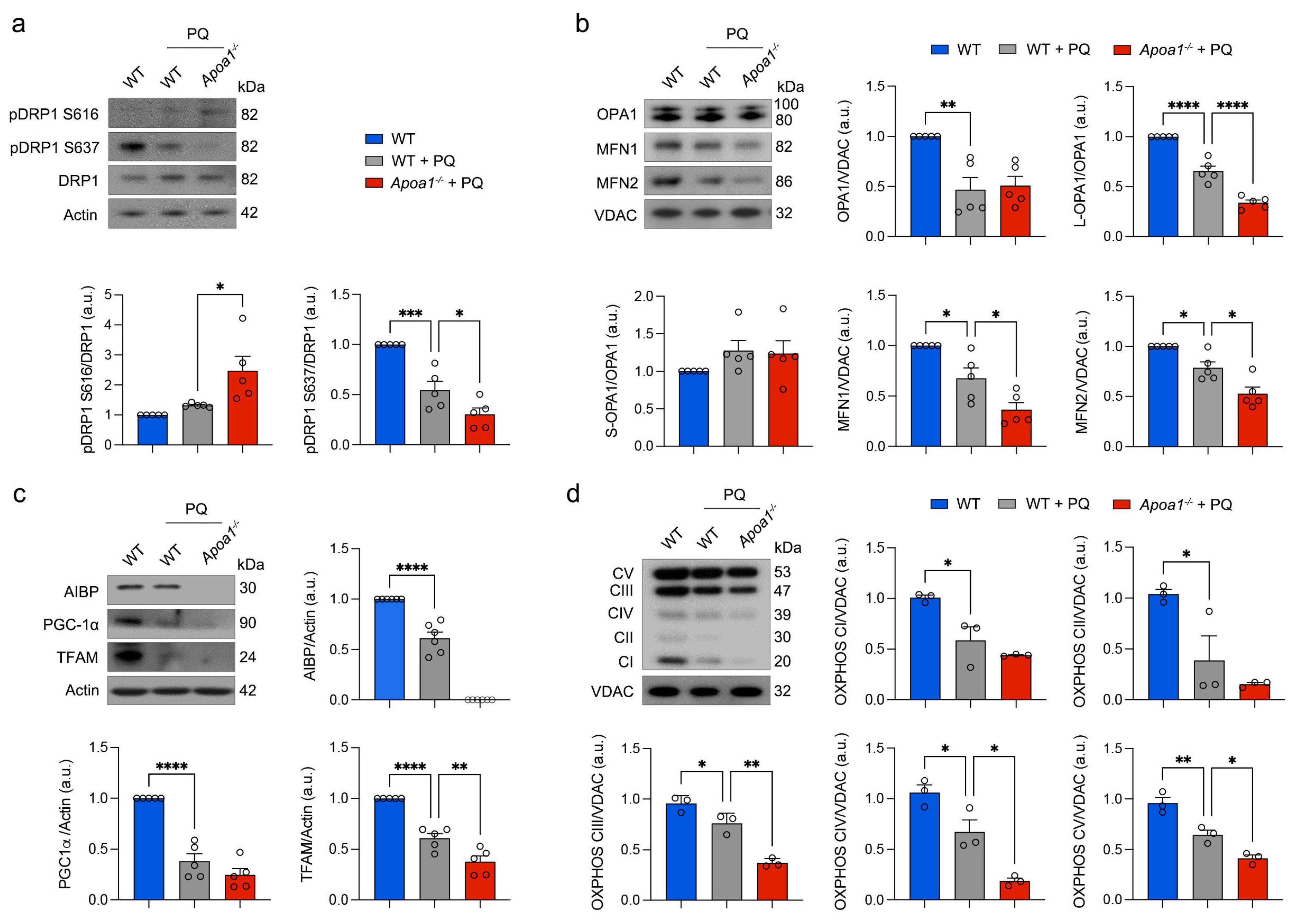 Antioxidants 13 01252 g002