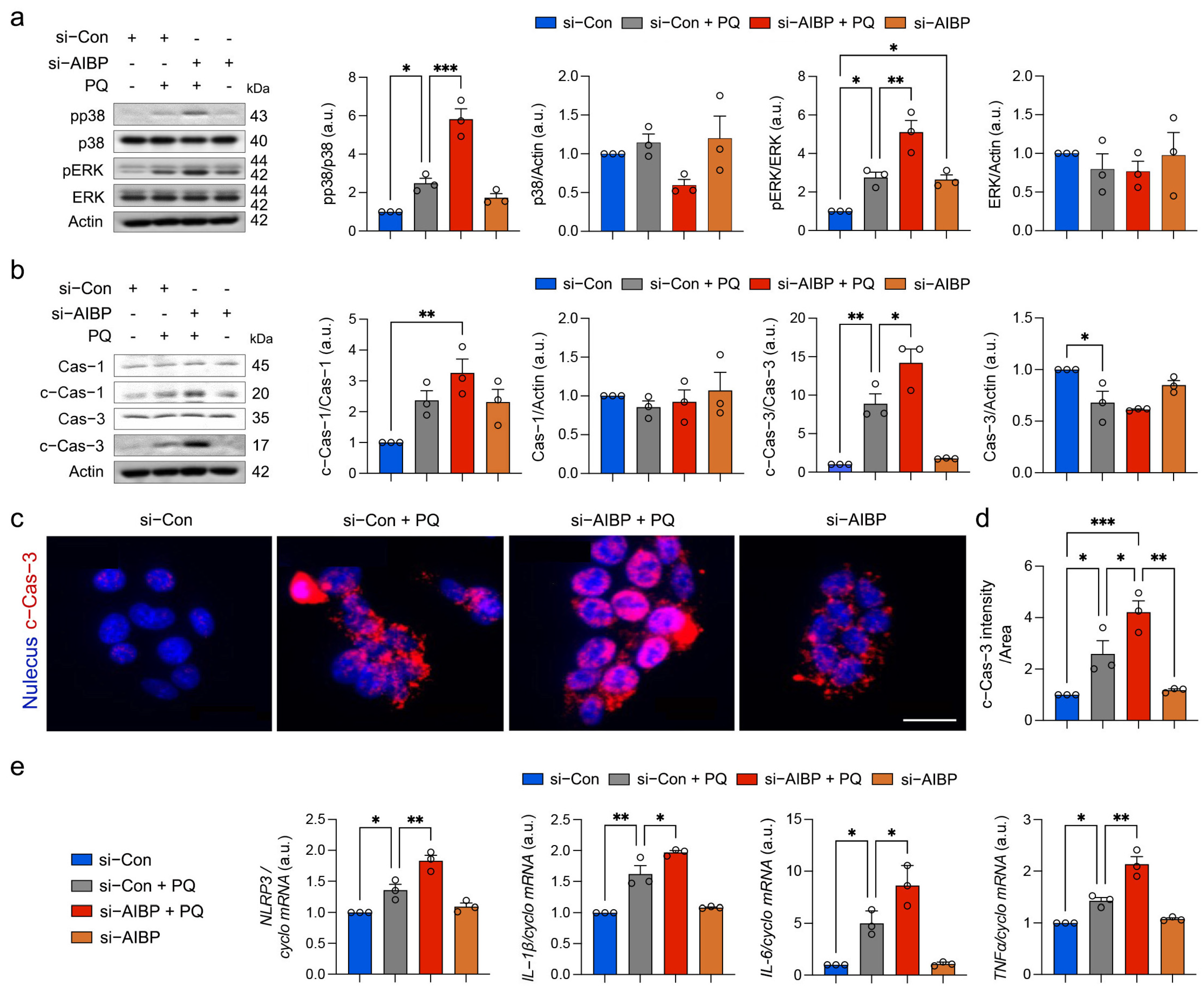 Antioxidants 13 01252 g004