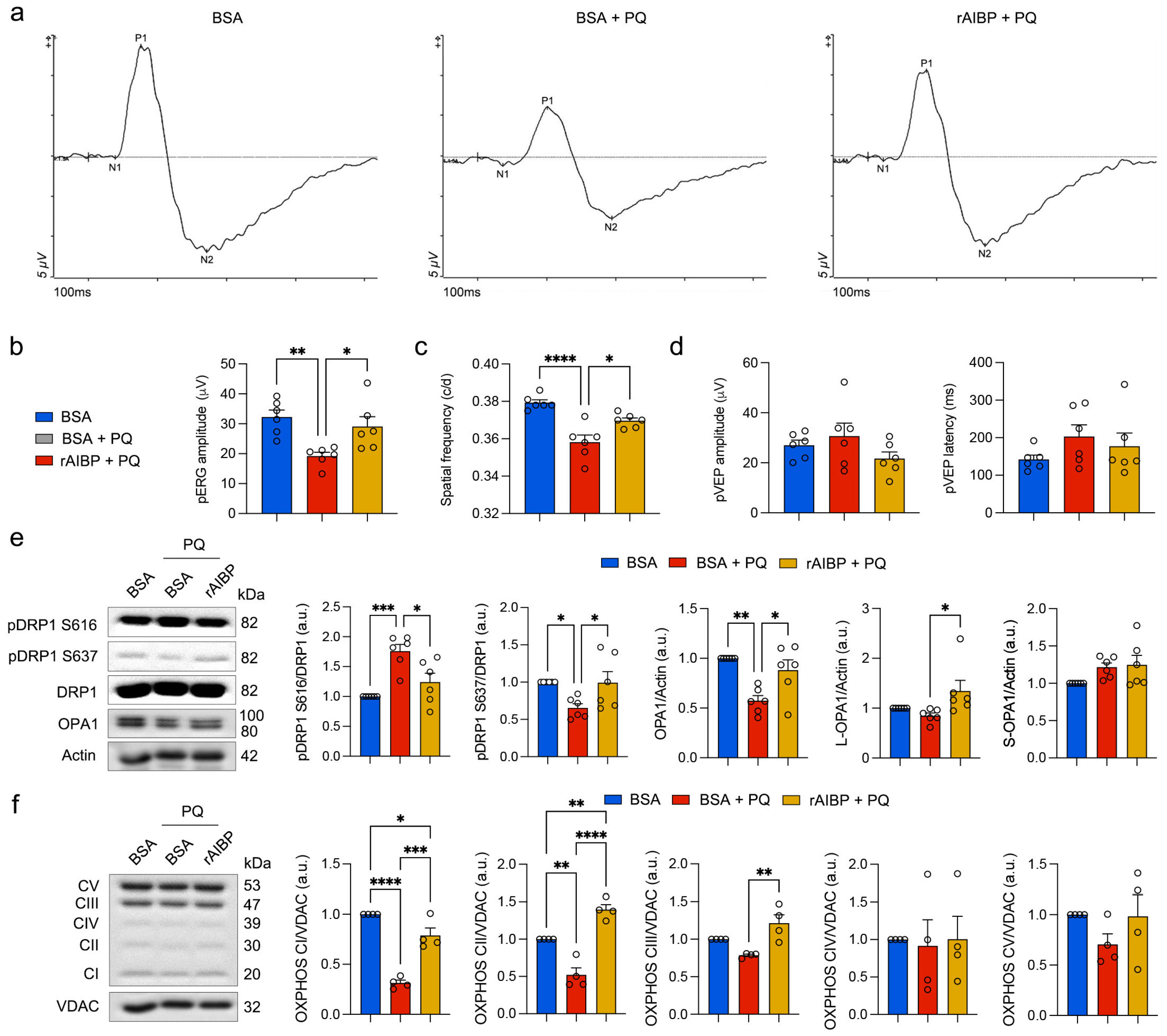 Antioxidants 13 01252 g005