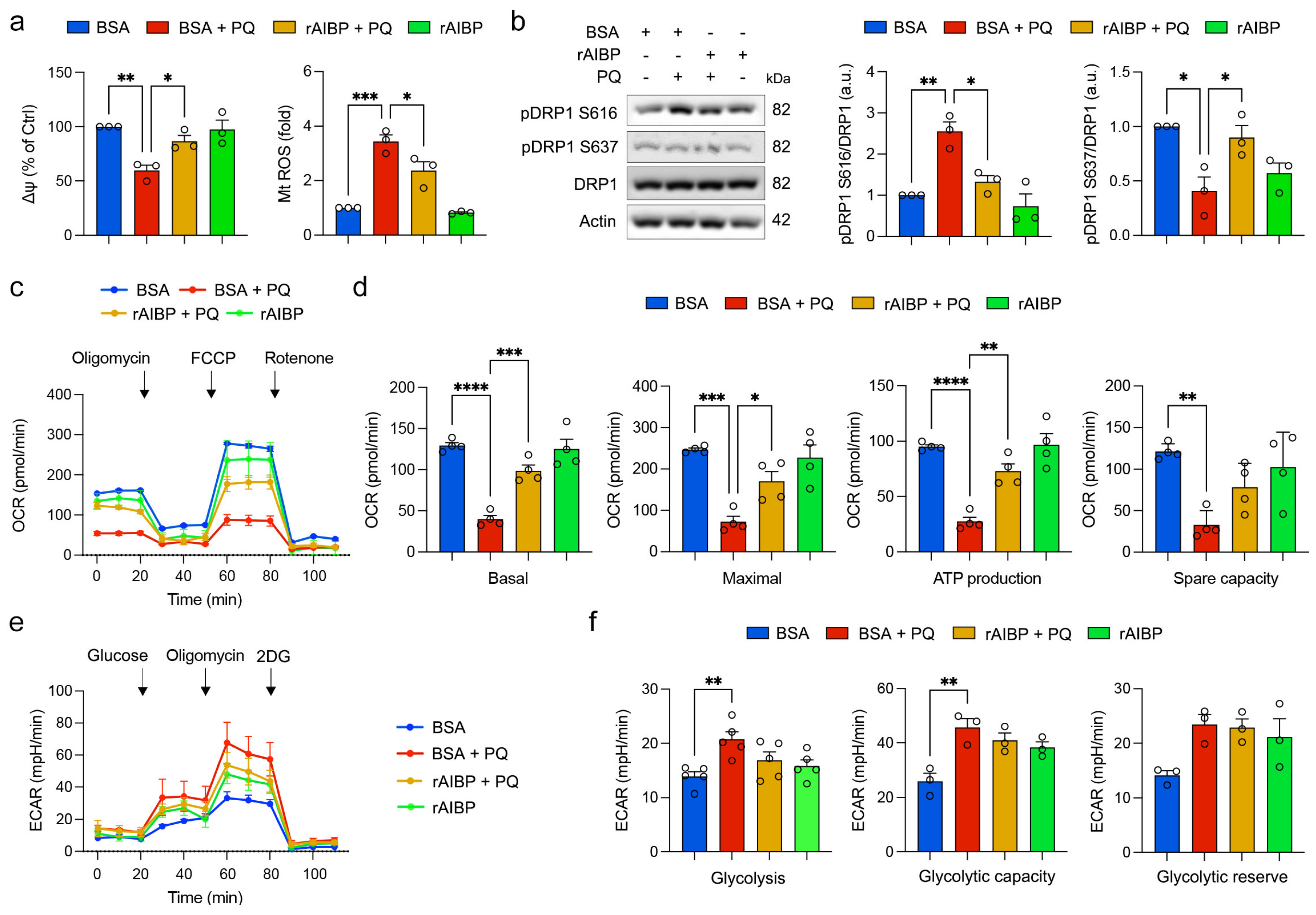 Antioxidants 13 01252 g007
