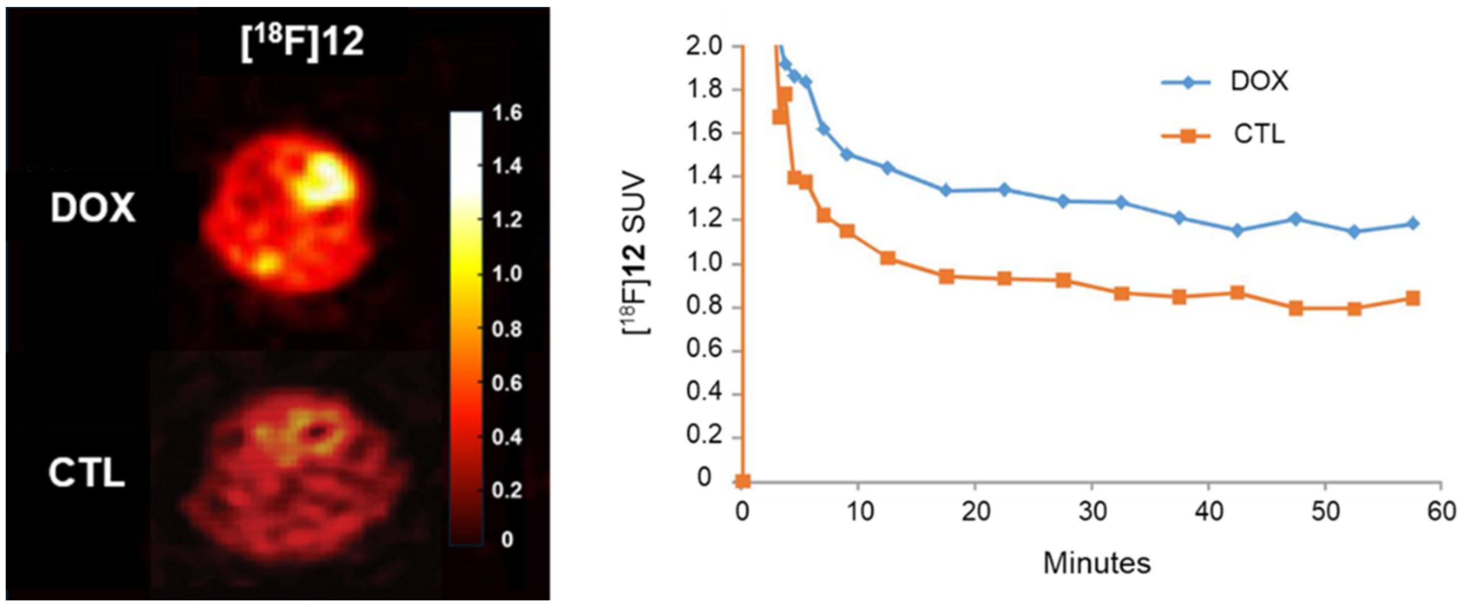 Antioxidants 13 01254 g002