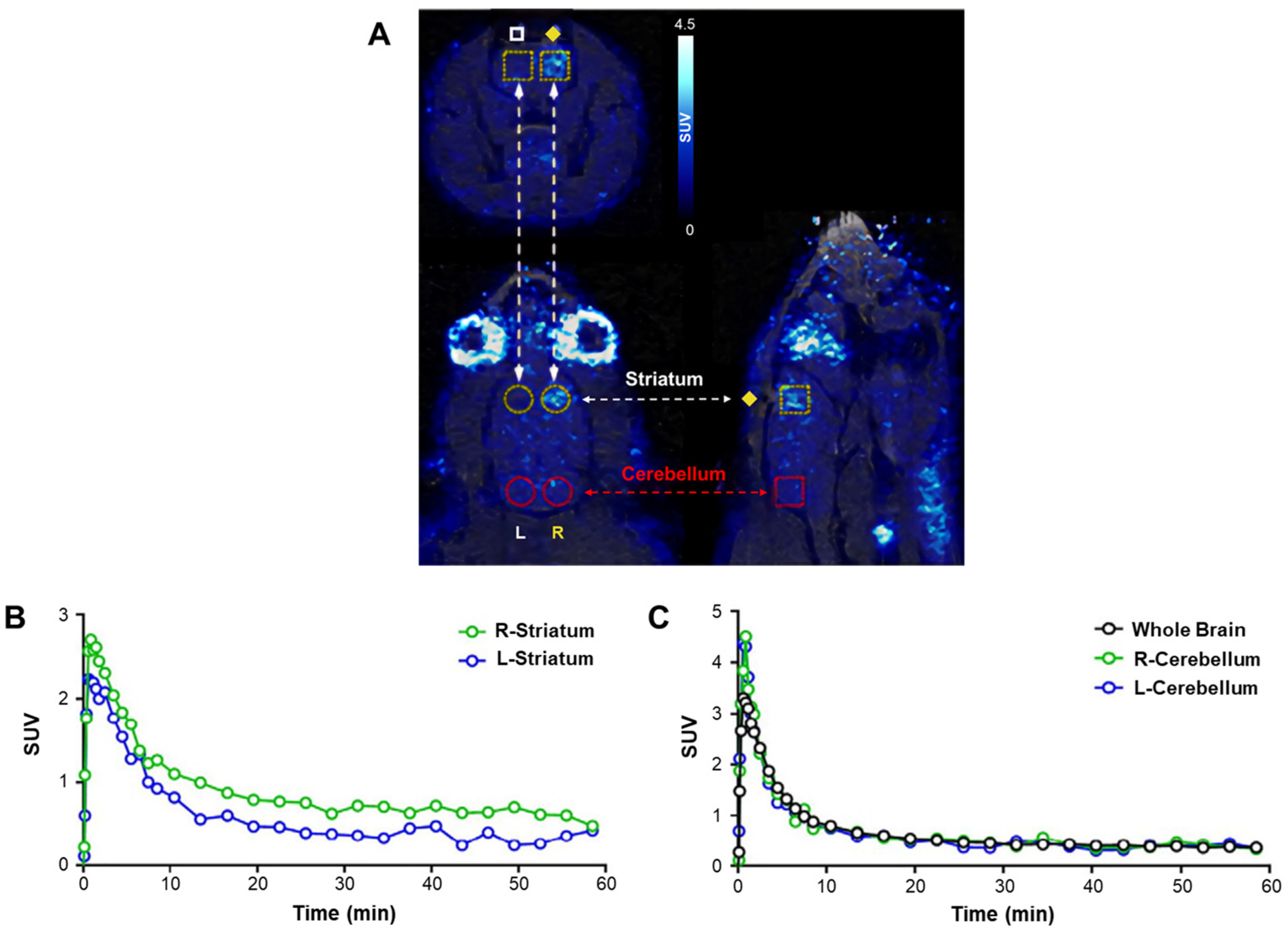 Antioxidants 13 01254 g004