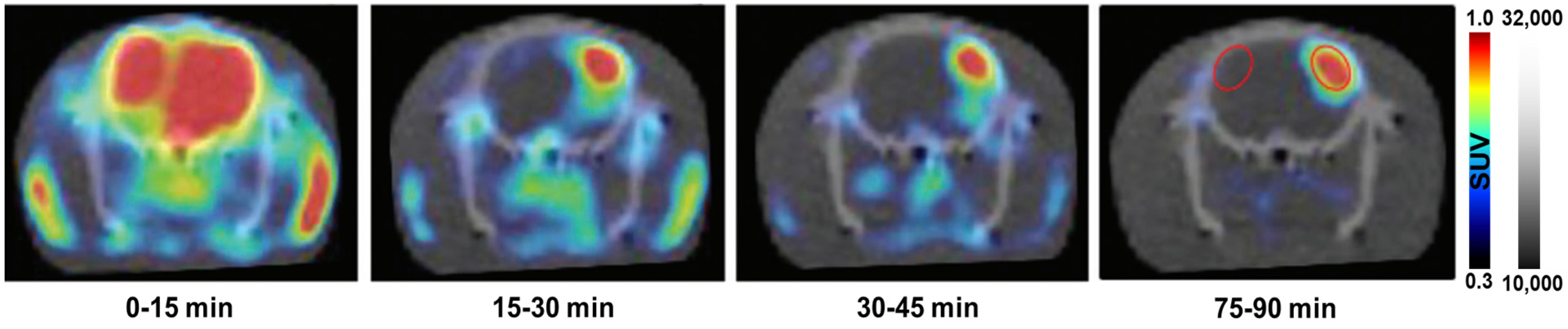Antioxidants 13 01254 g005
