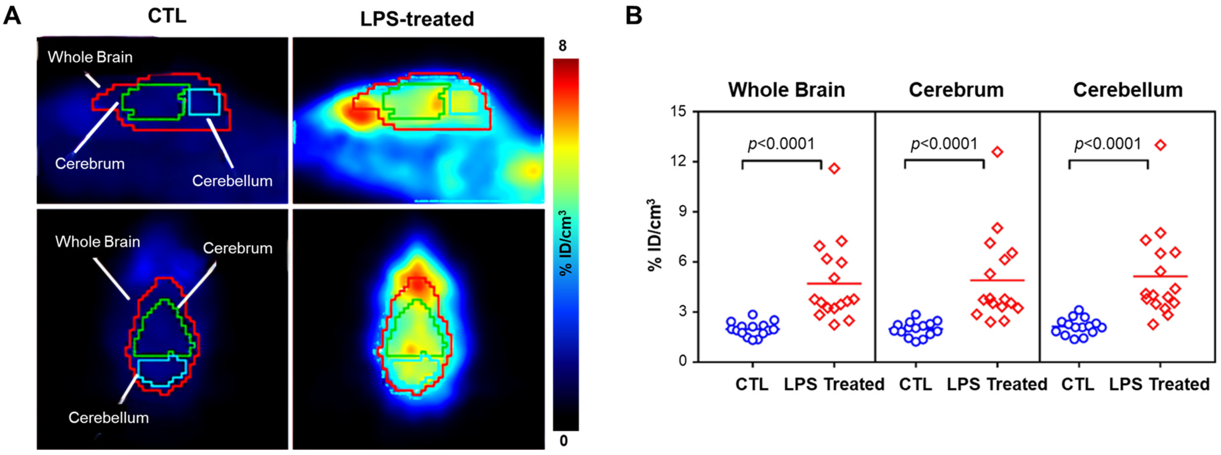Antioxidants 13 01254 g006