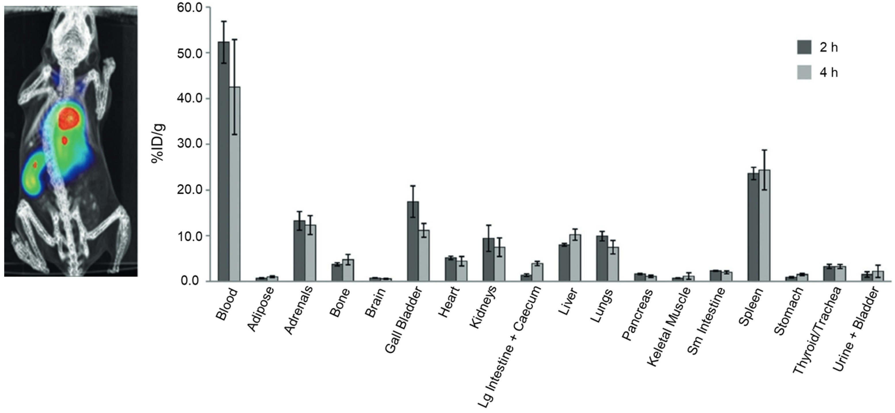 Antioxidants 13 01254 g007