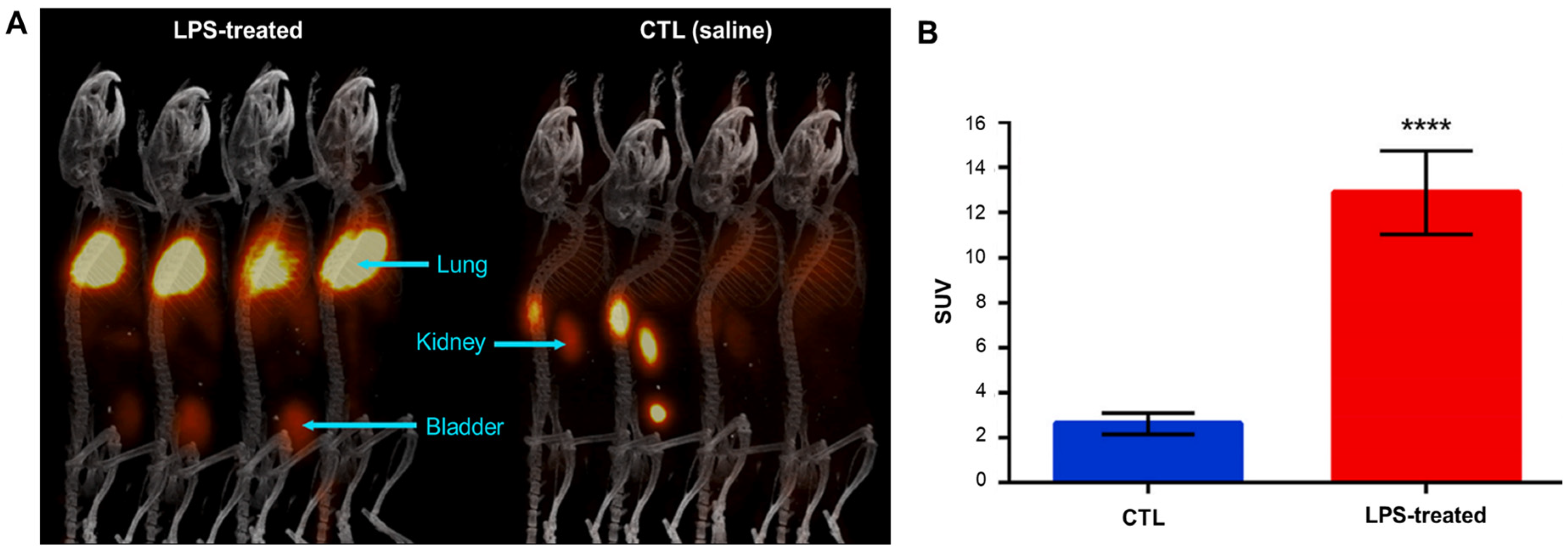 Antioxidants 13 01254 g008