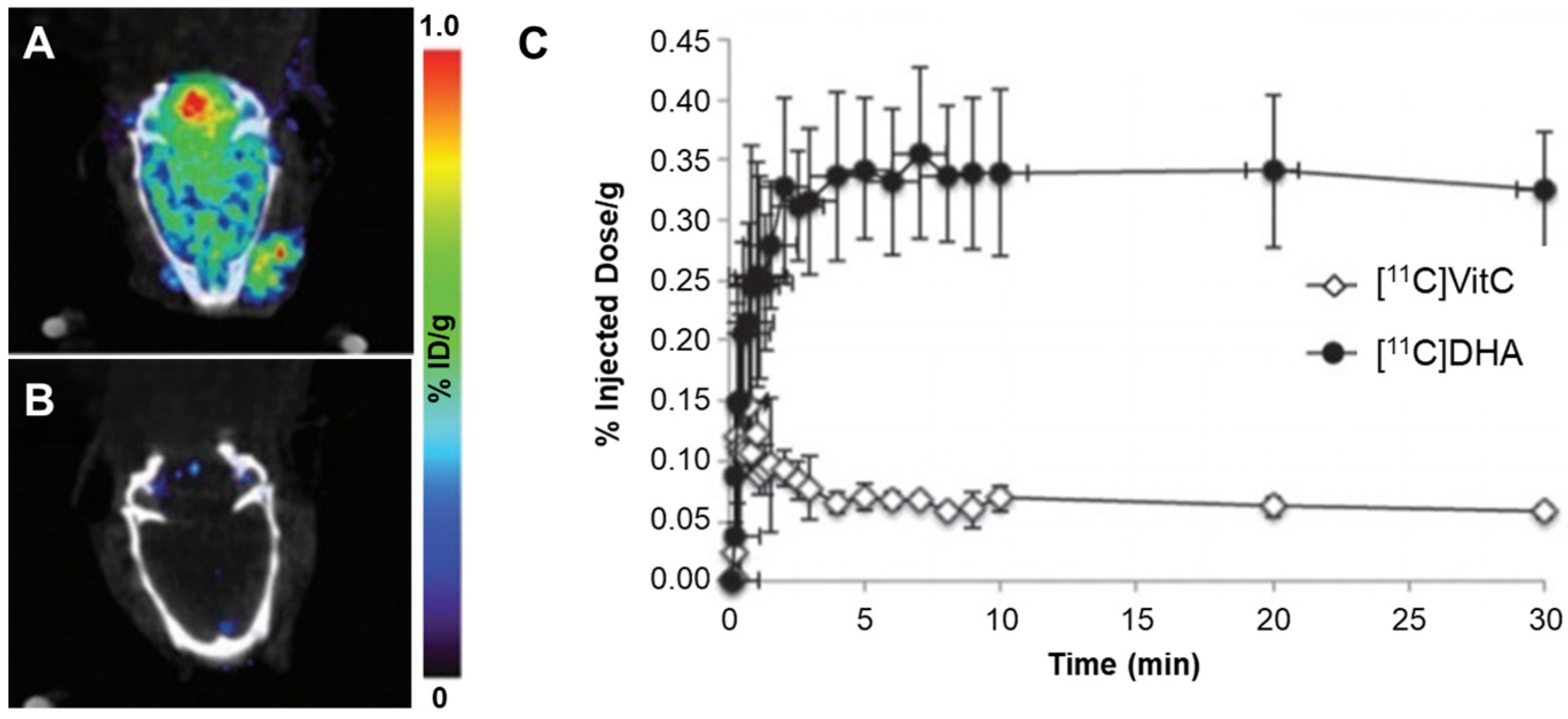 Antioxidants 13 01254 g010