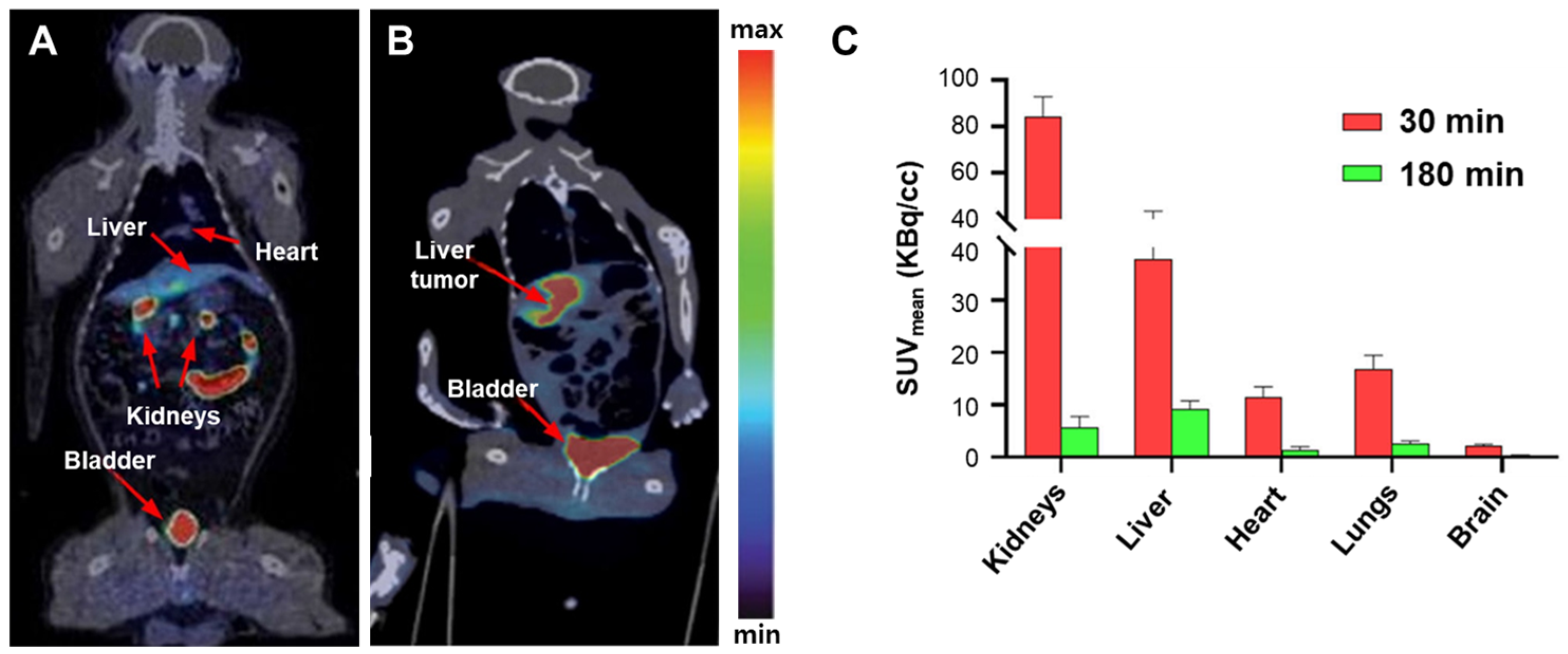 Antioxidants 13 01254 g011
