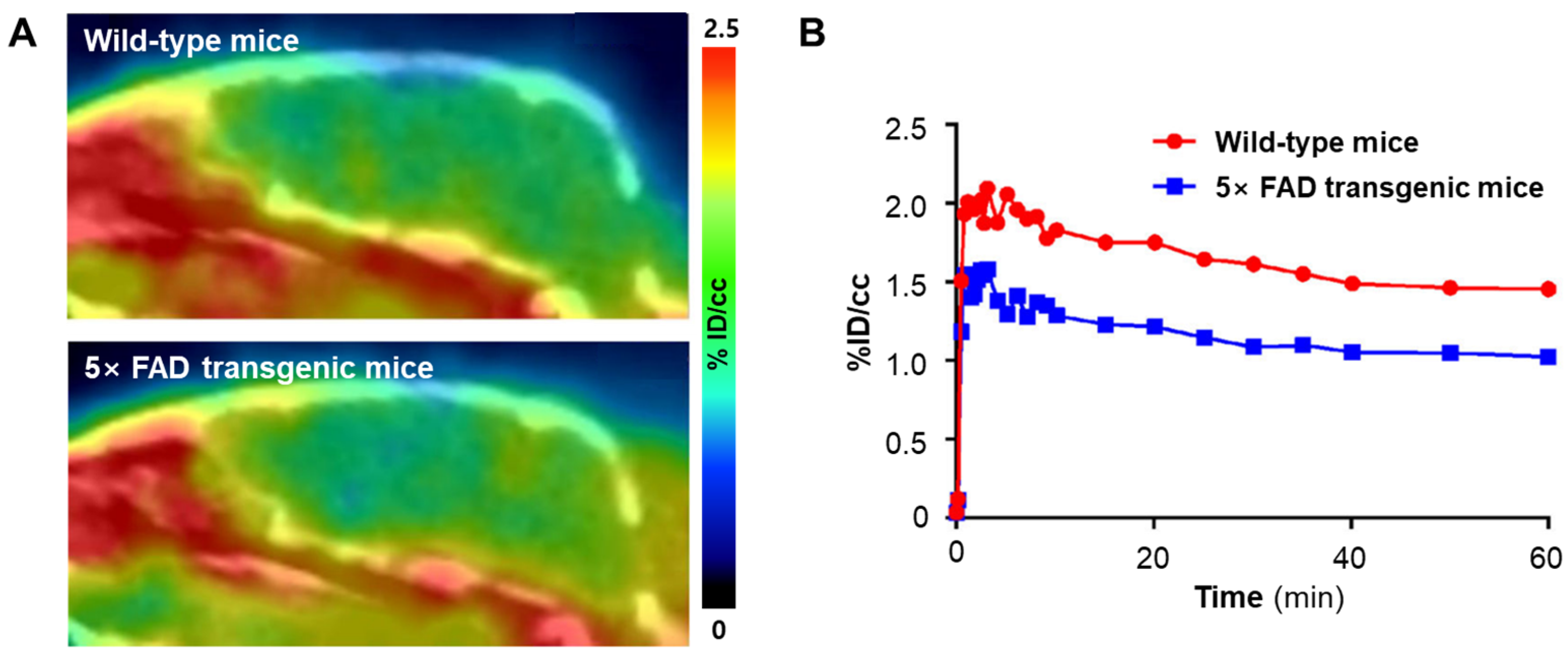 Antioxidants 13 01254 g013