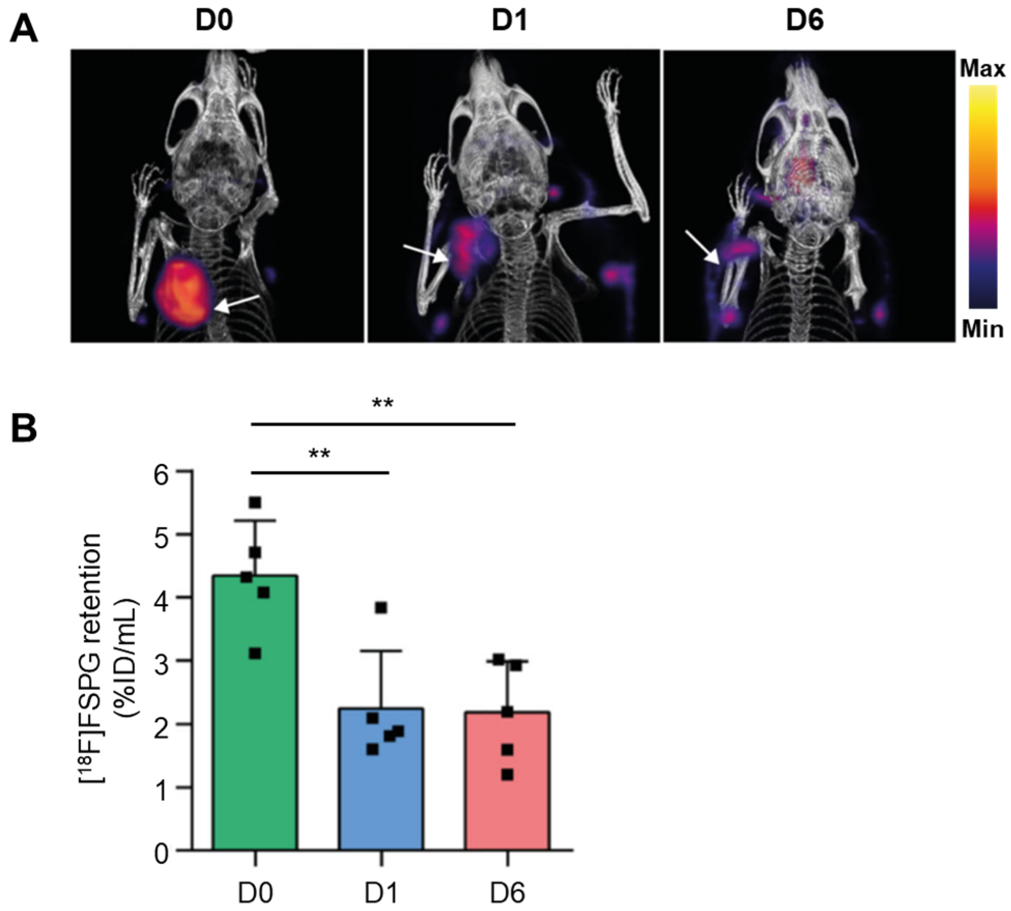 Antioxidants 13 01254 g014