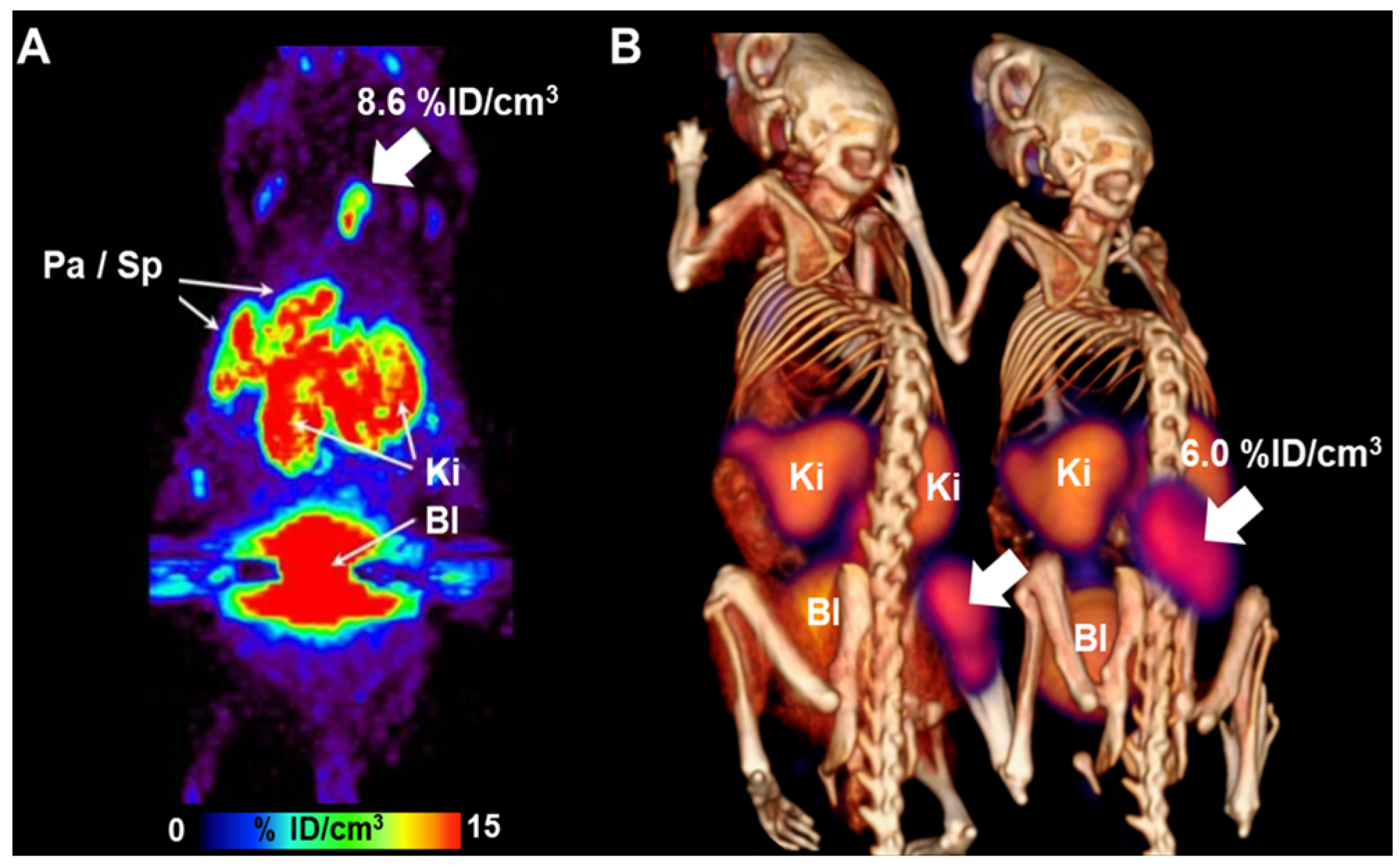 Antioxidants 13 01254 g015