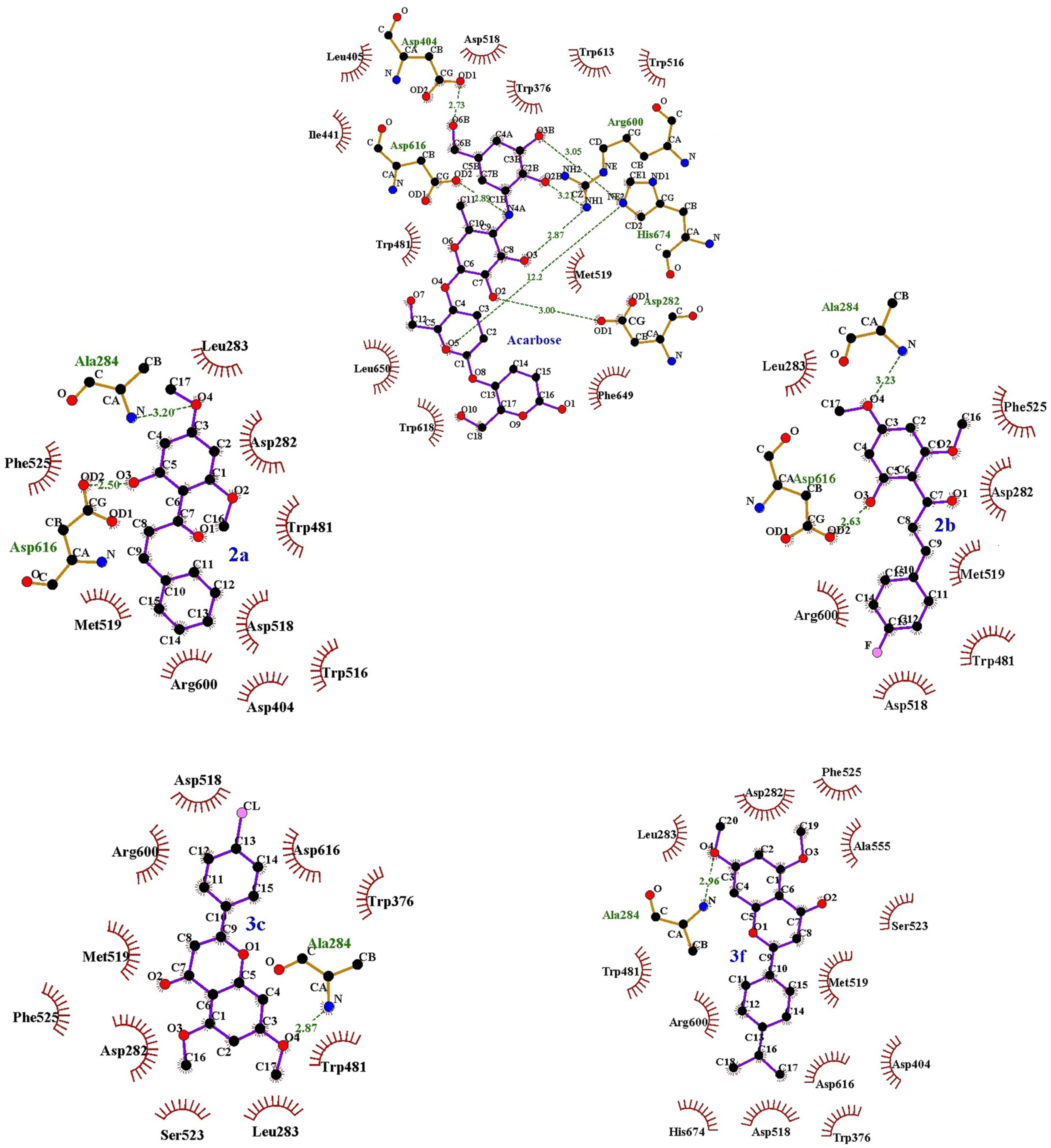 Antioxidants 13 01255 g004