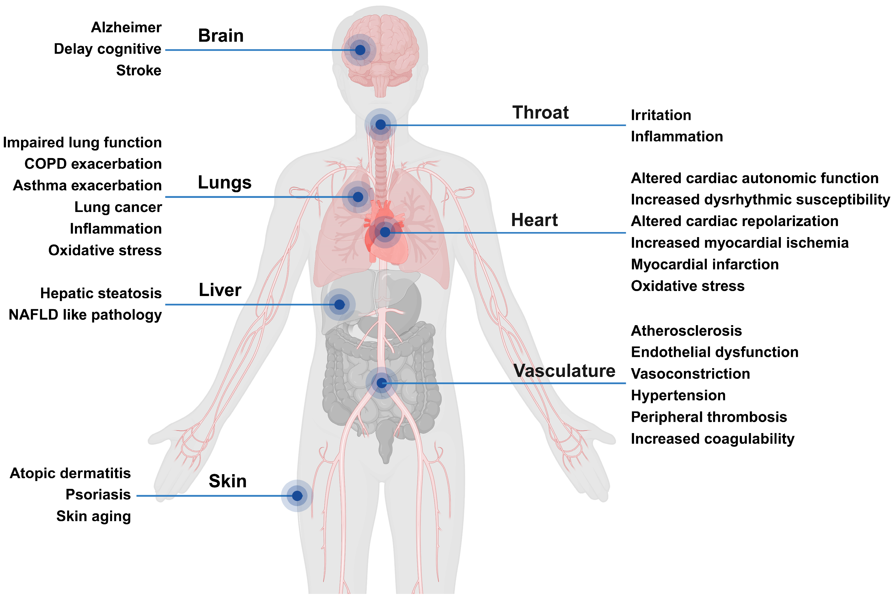 Antioxidants 13 01256 g002