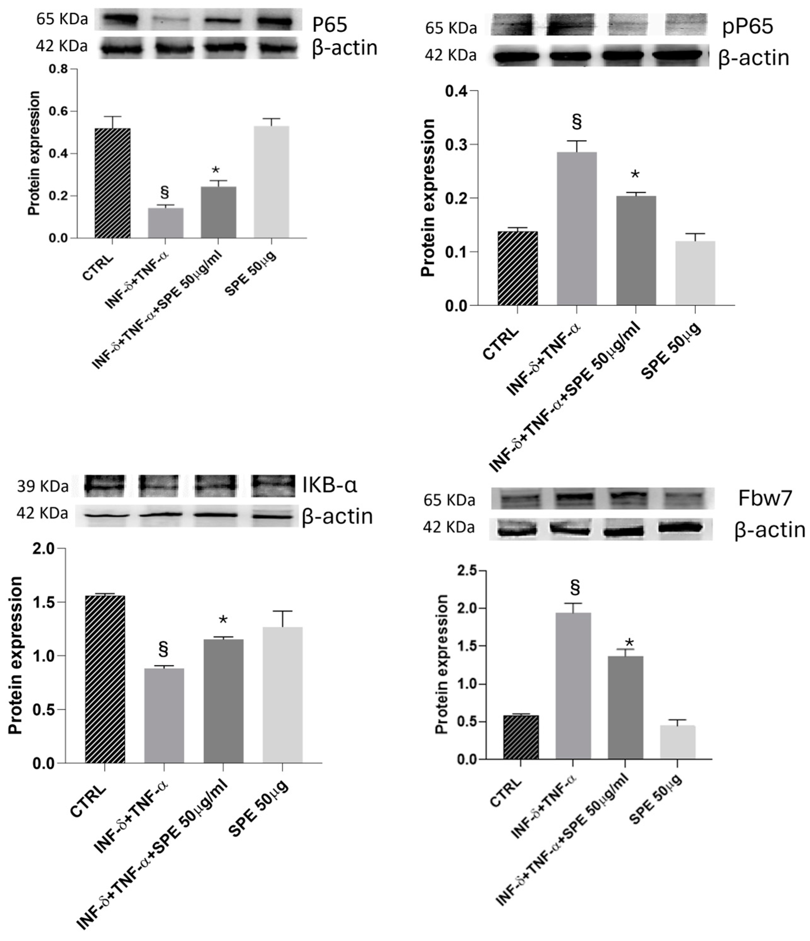 Antioxidants 13 01257 g007
