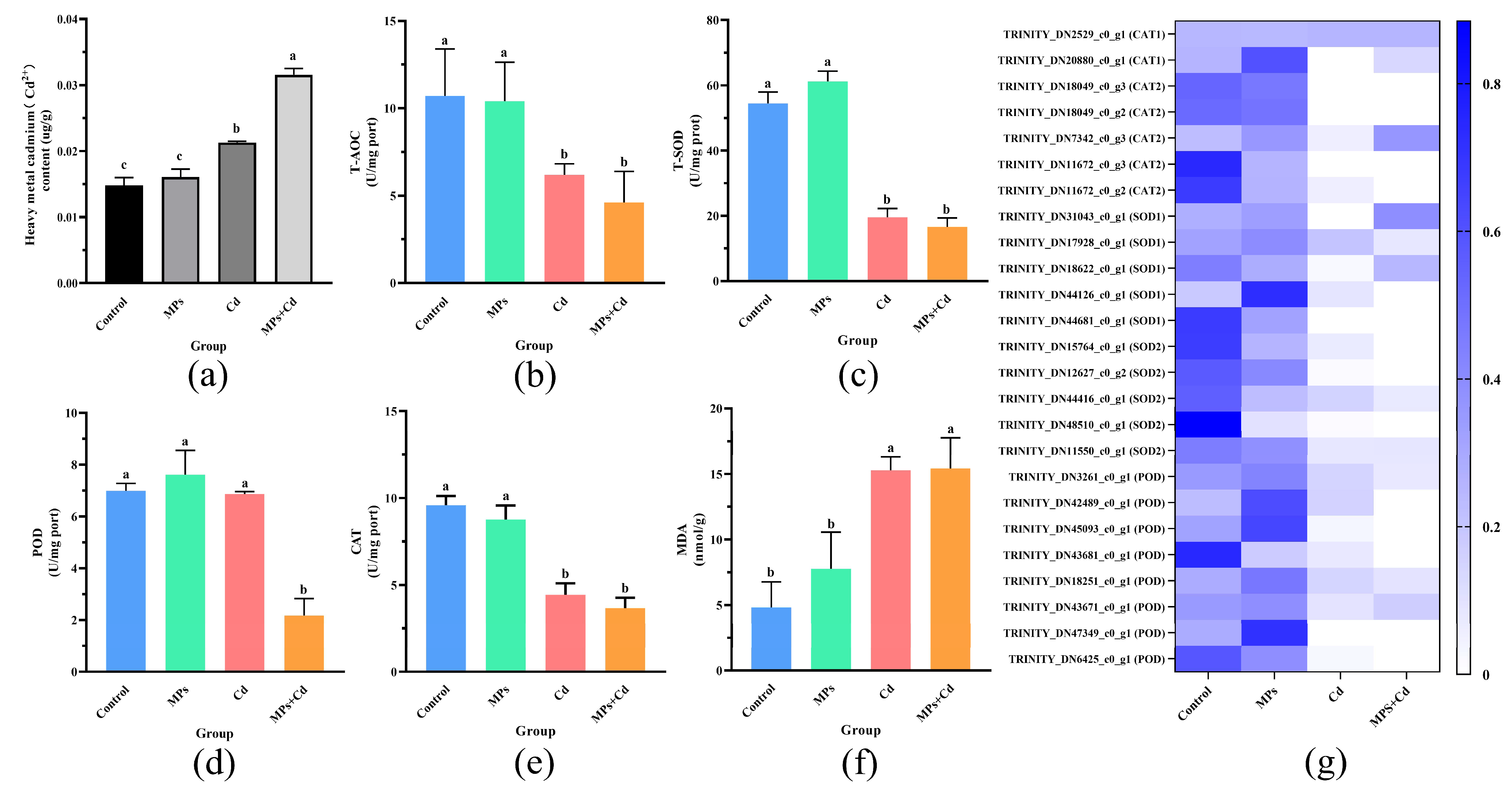 Antioxidants 13 01268 g002