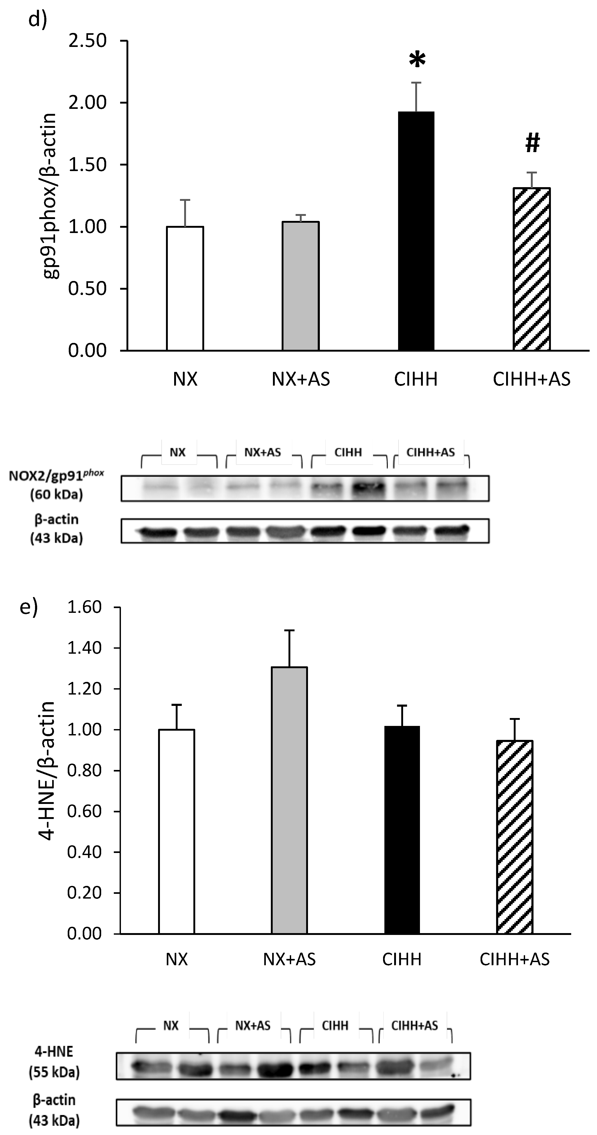 Antioxidants 13 01269 g004b