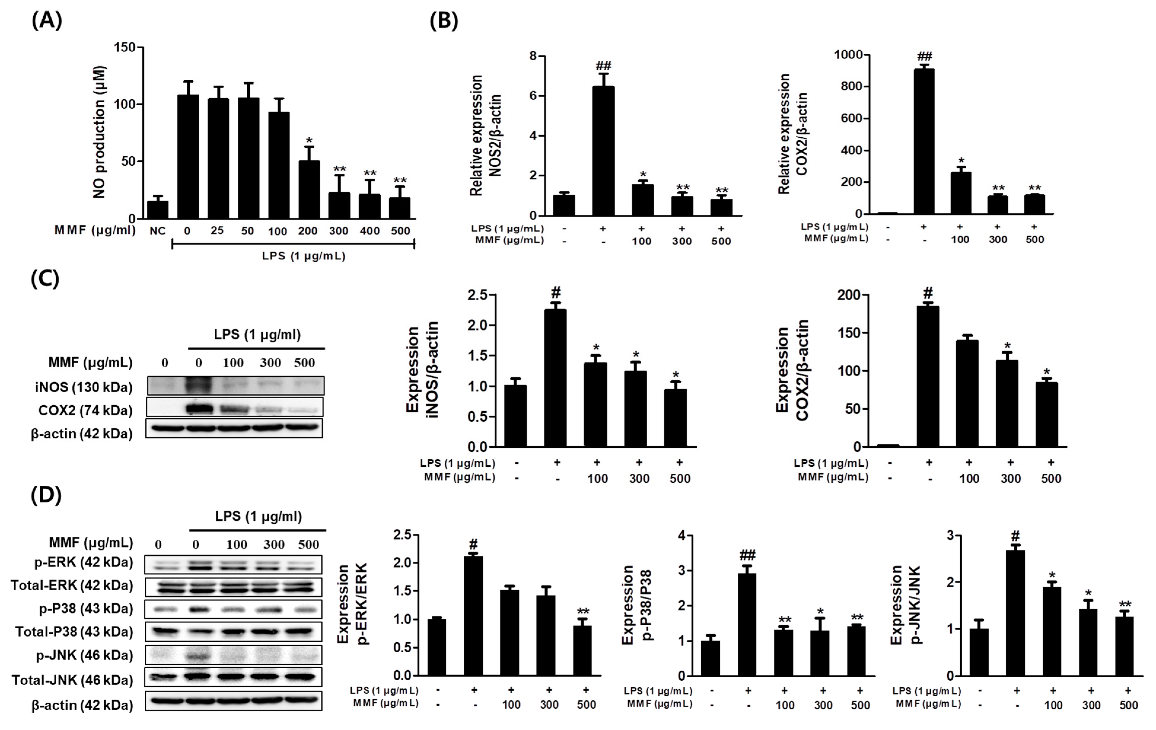 Antioxidants 13 01271 g004