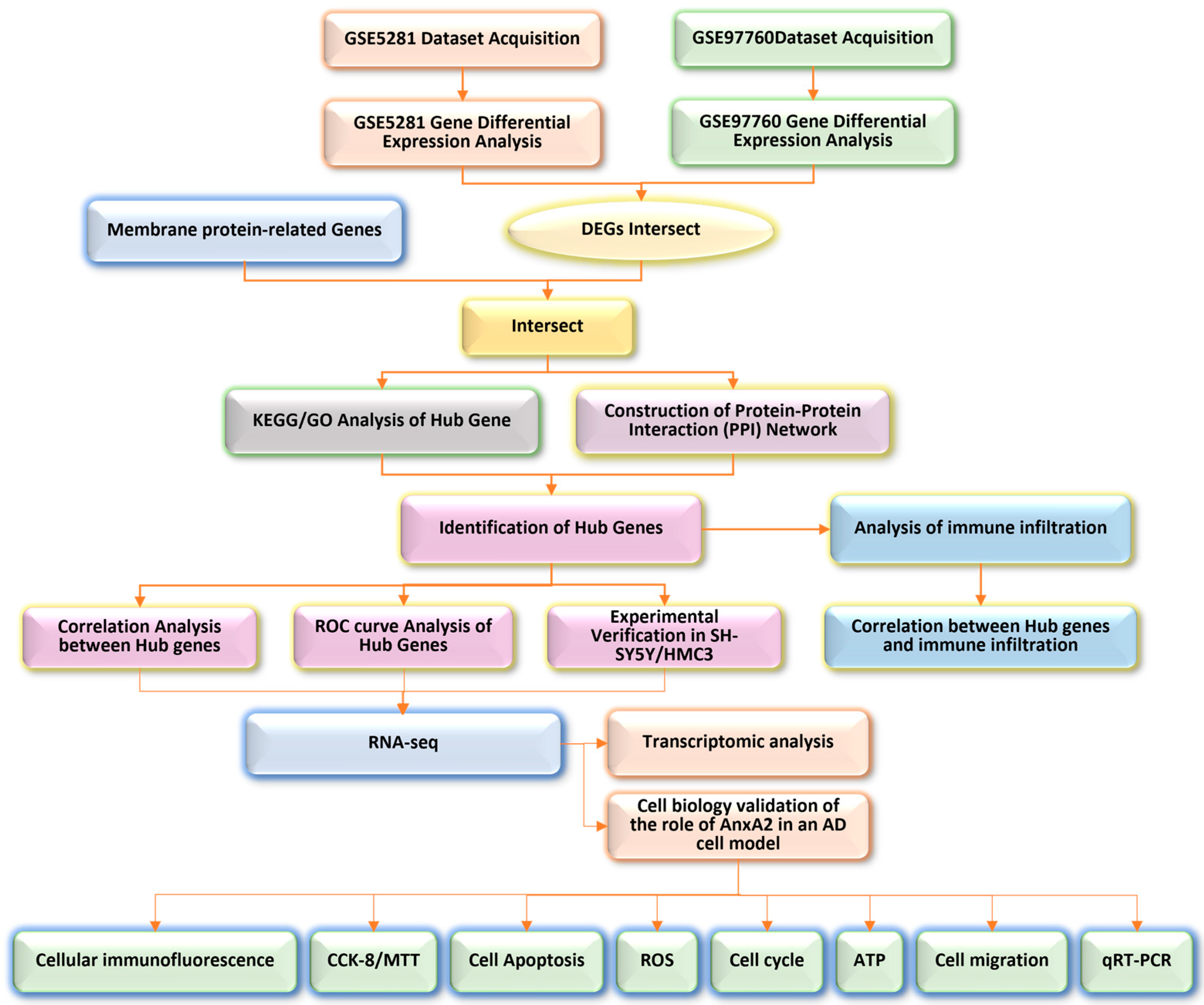 Antioxidants 13 01274 g001