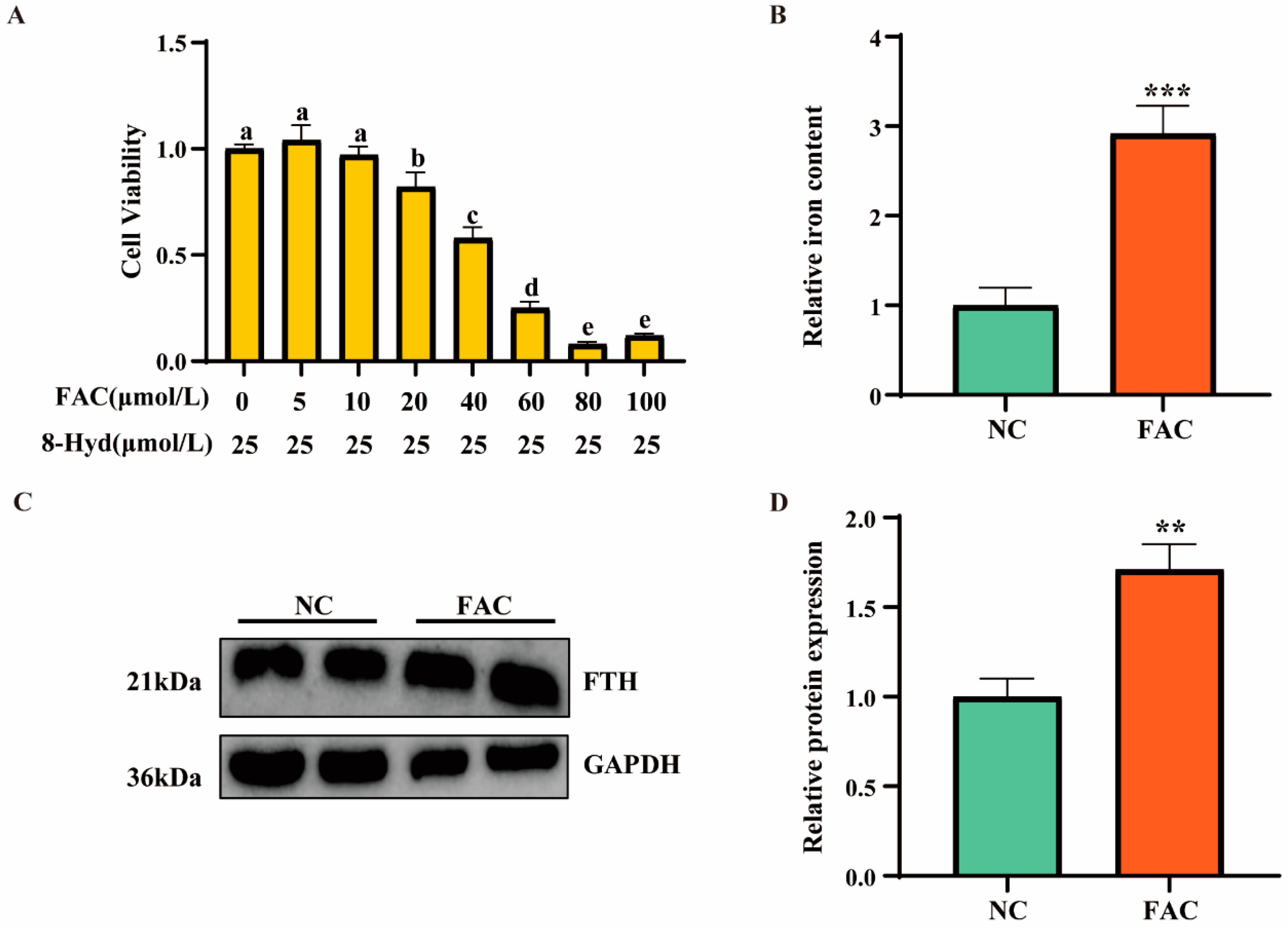 Antioxidants 13 01277 g001