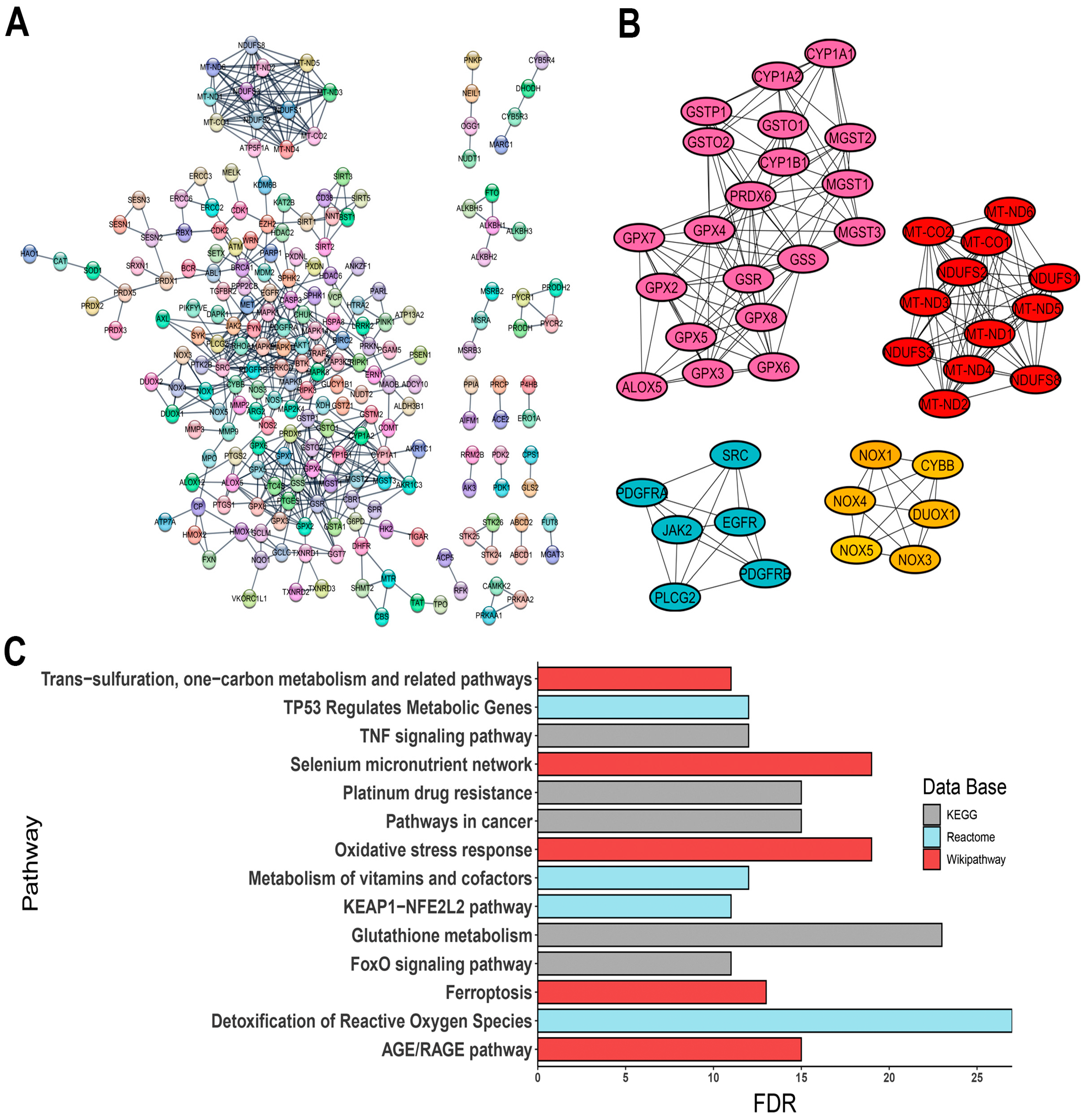 Antioxidants 13 01279 g002
