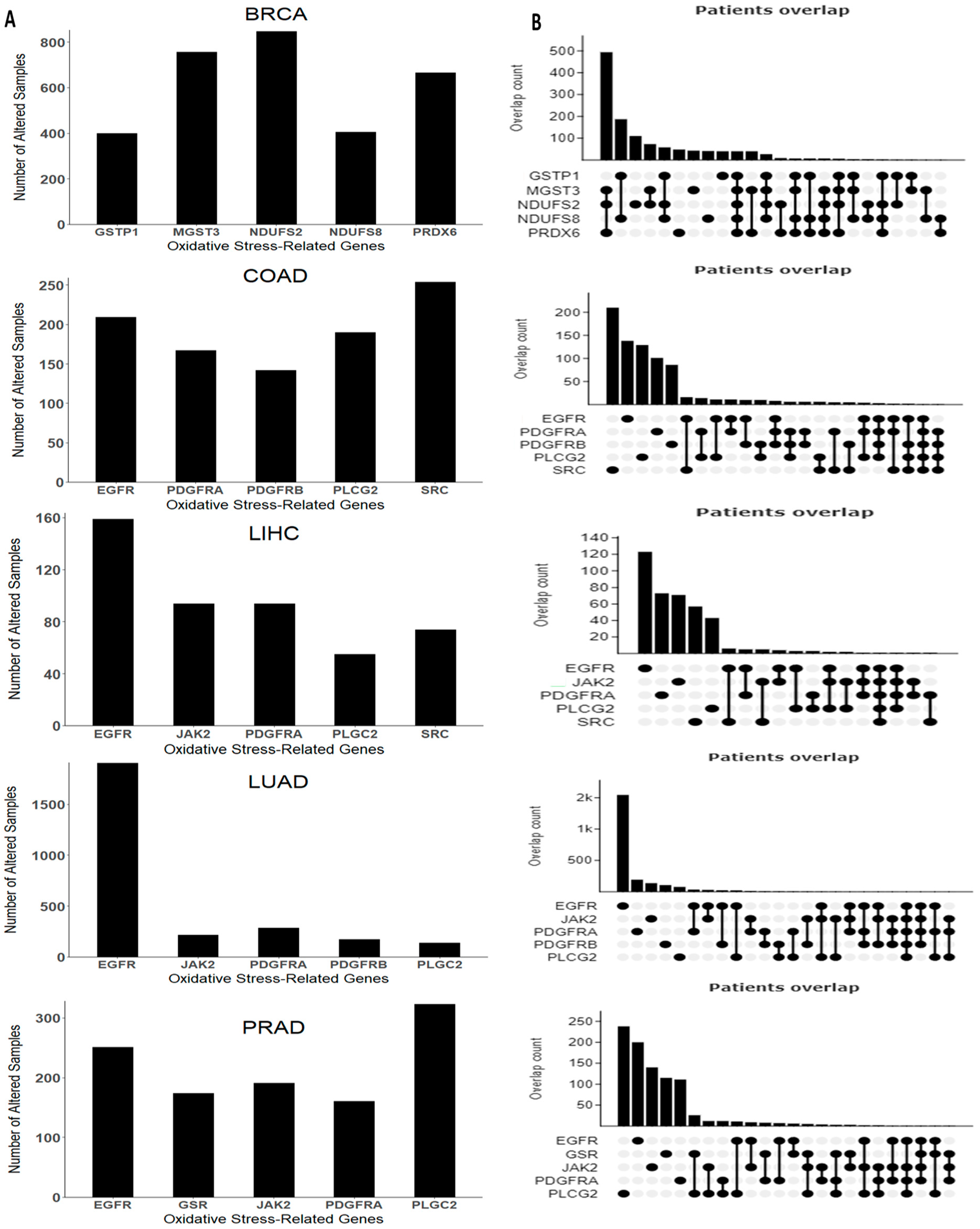 Antioxidants 13 01279 g004